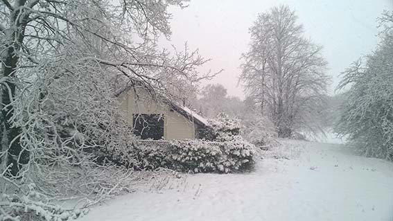 Natuurhuisje in Nuland