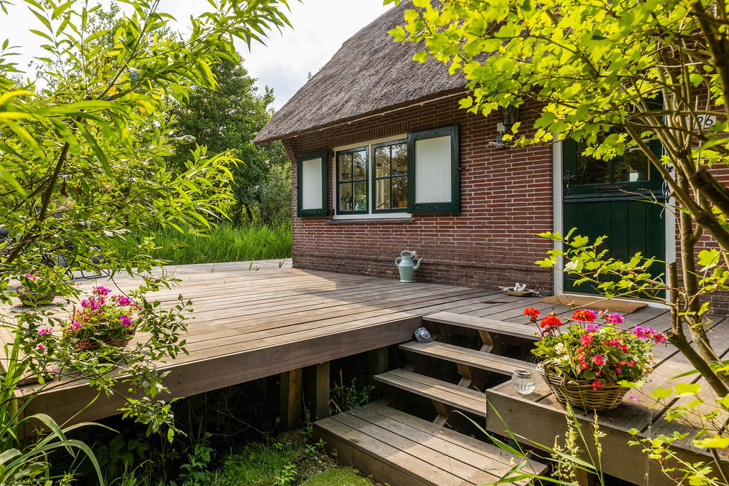 - image: 46