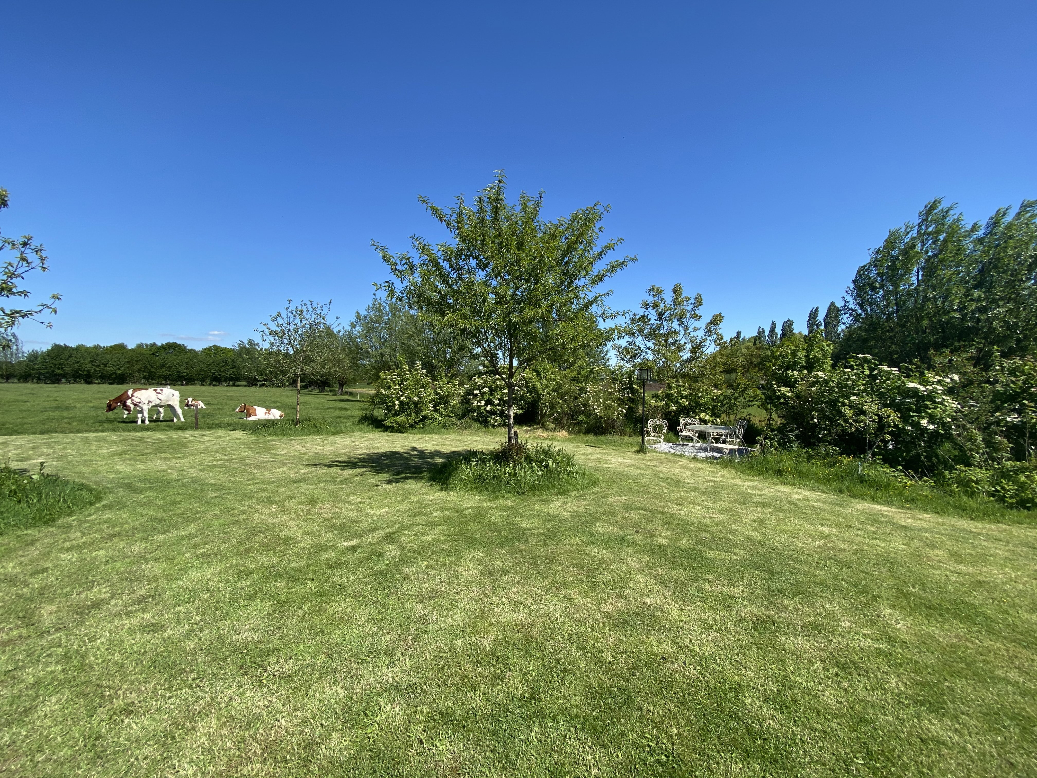 Naturhäuschen in Rijsbergen