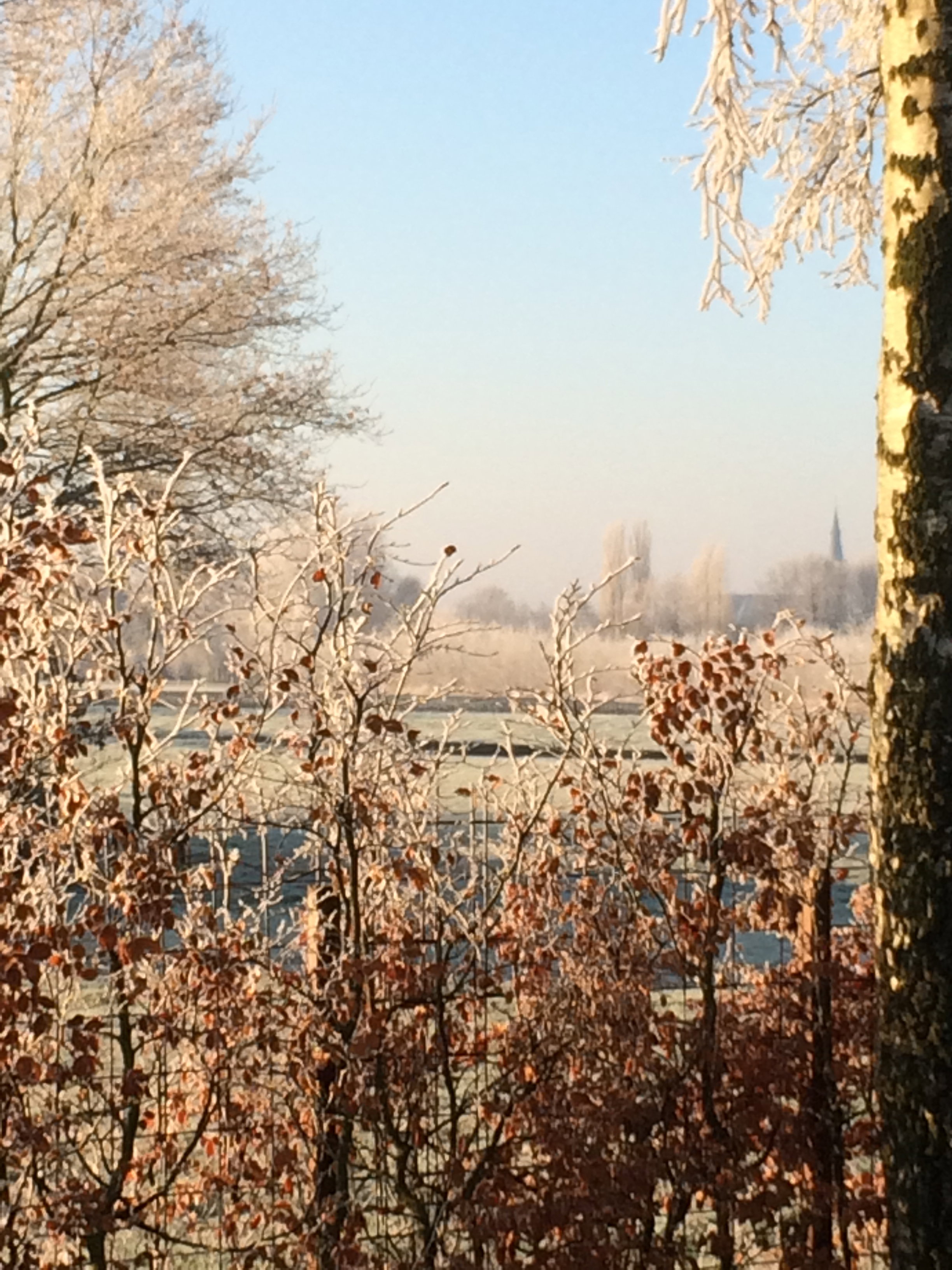 Natuurhuisje in Rijsbergen