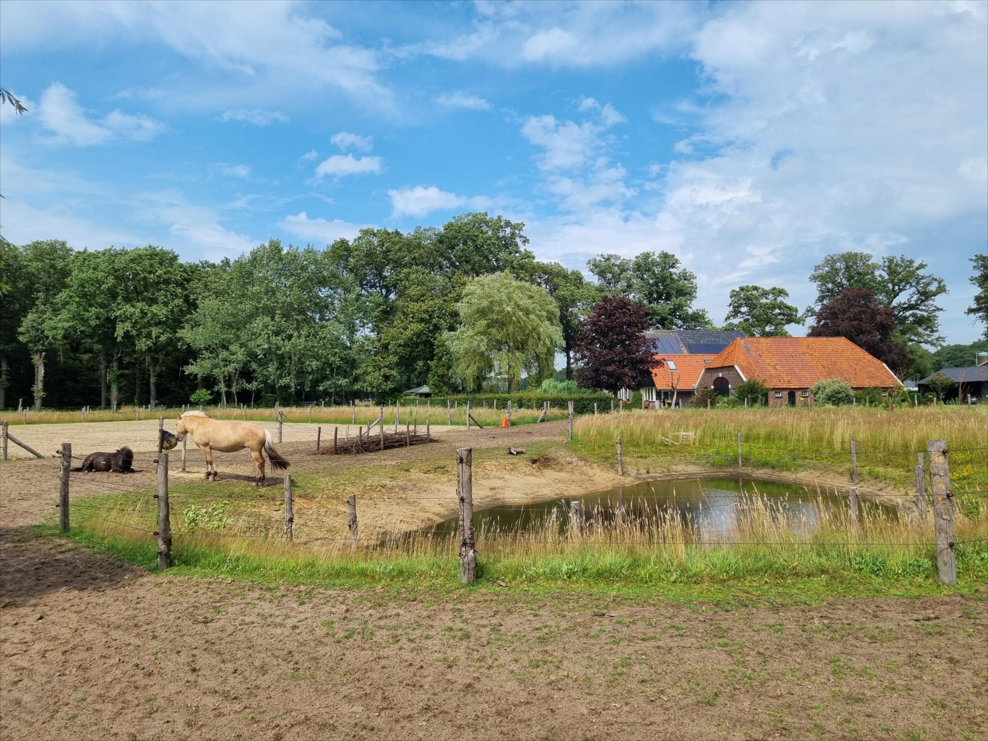 Naturhäuschen in Barchem