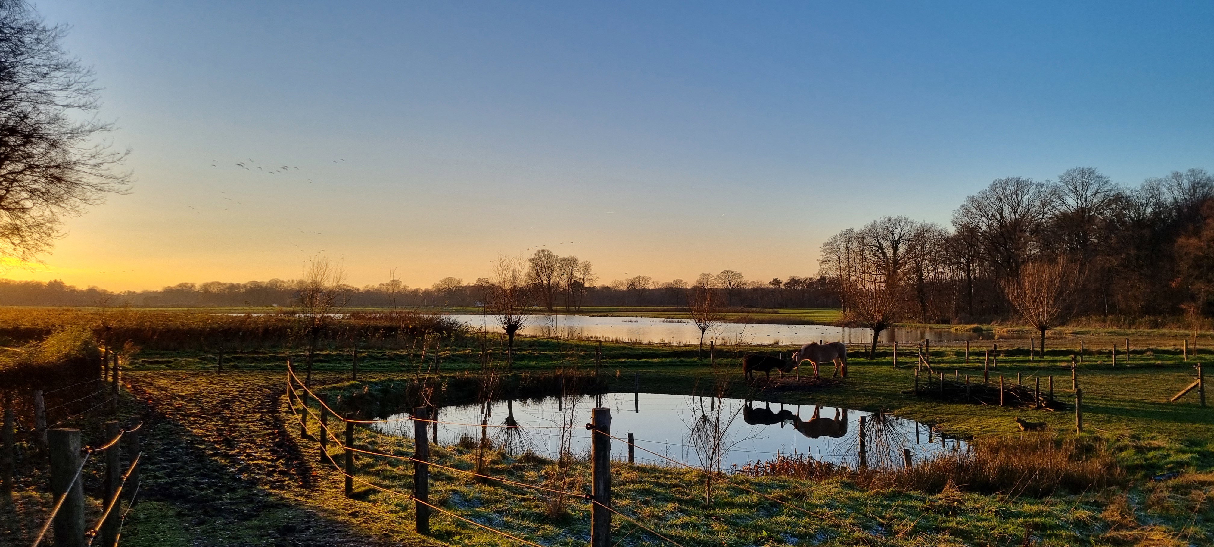 Natuurhuisje in Barchem