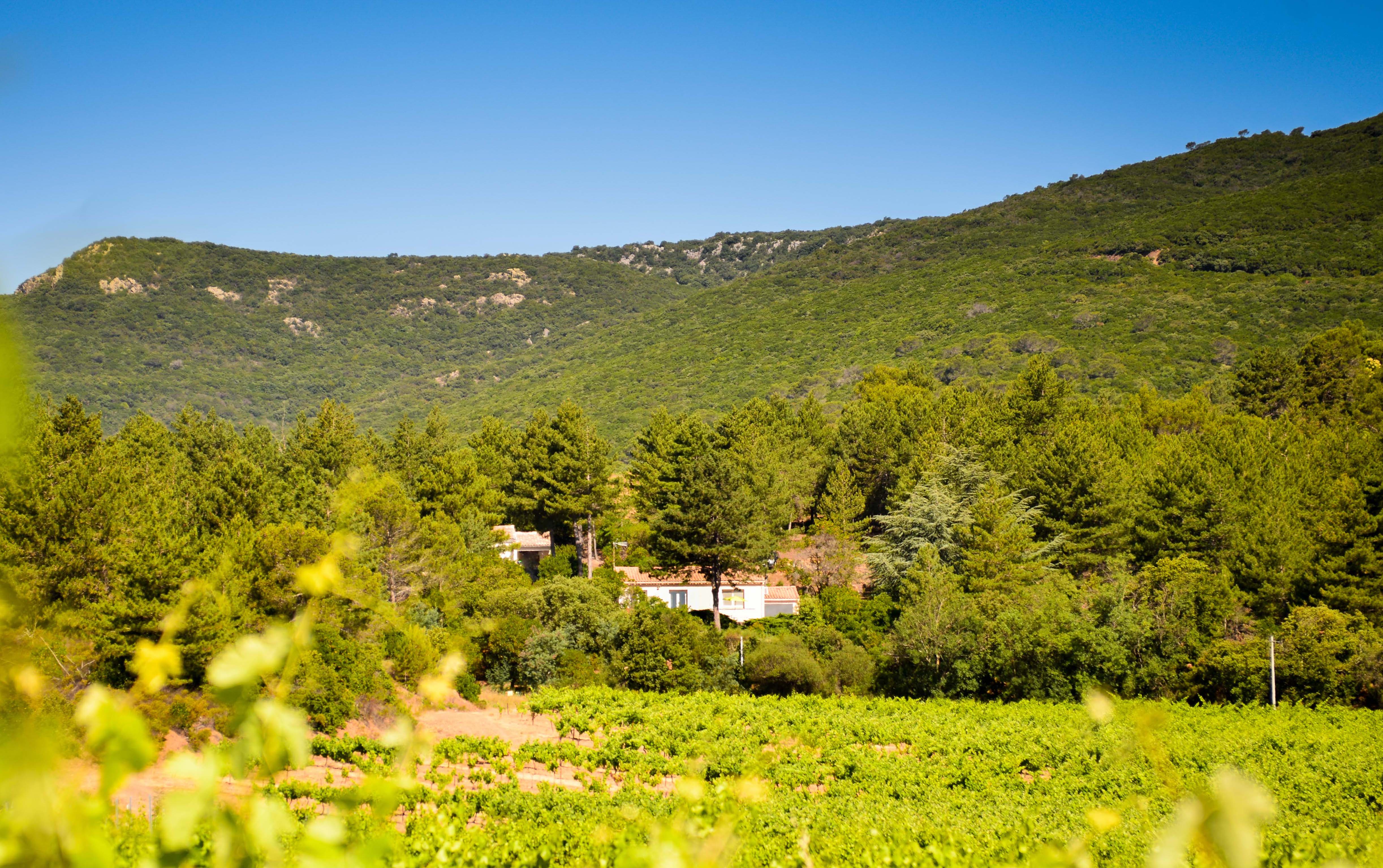 Maison nature à Babeau-Bouldox