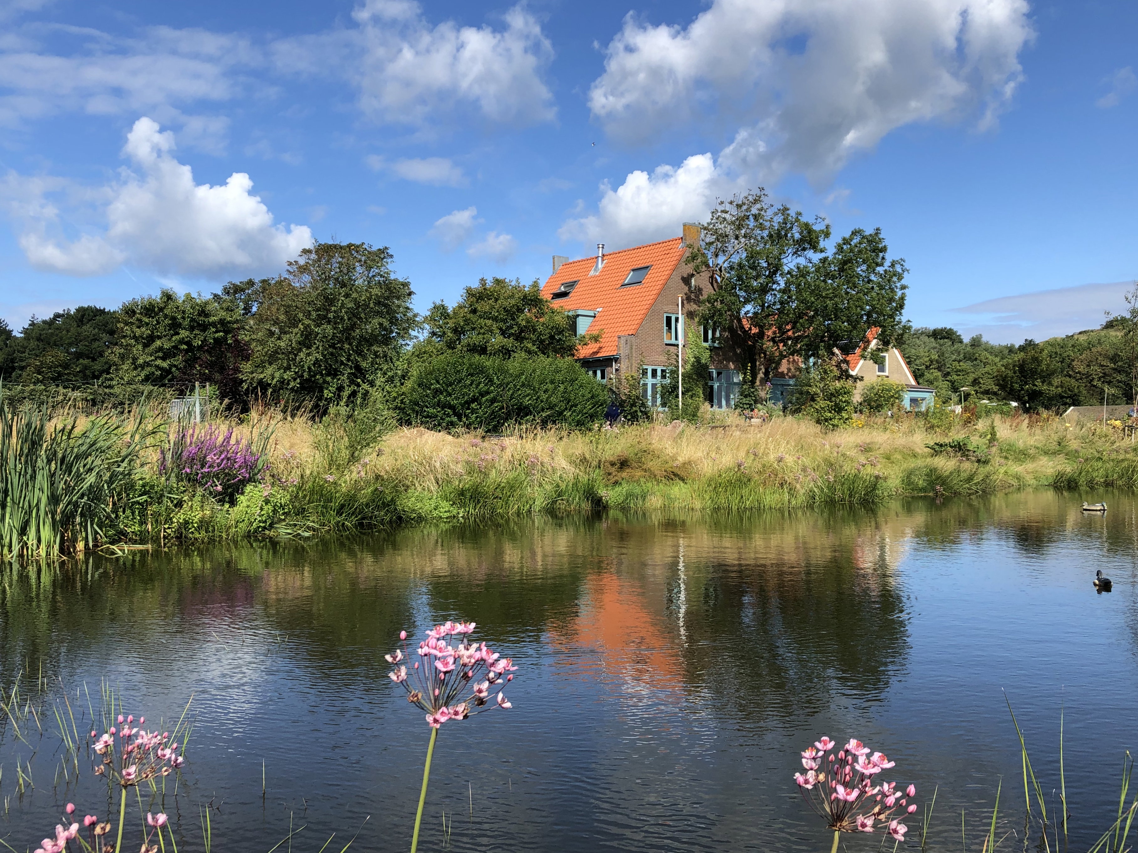 Naturhäuschen in Egmond aan den Hoef