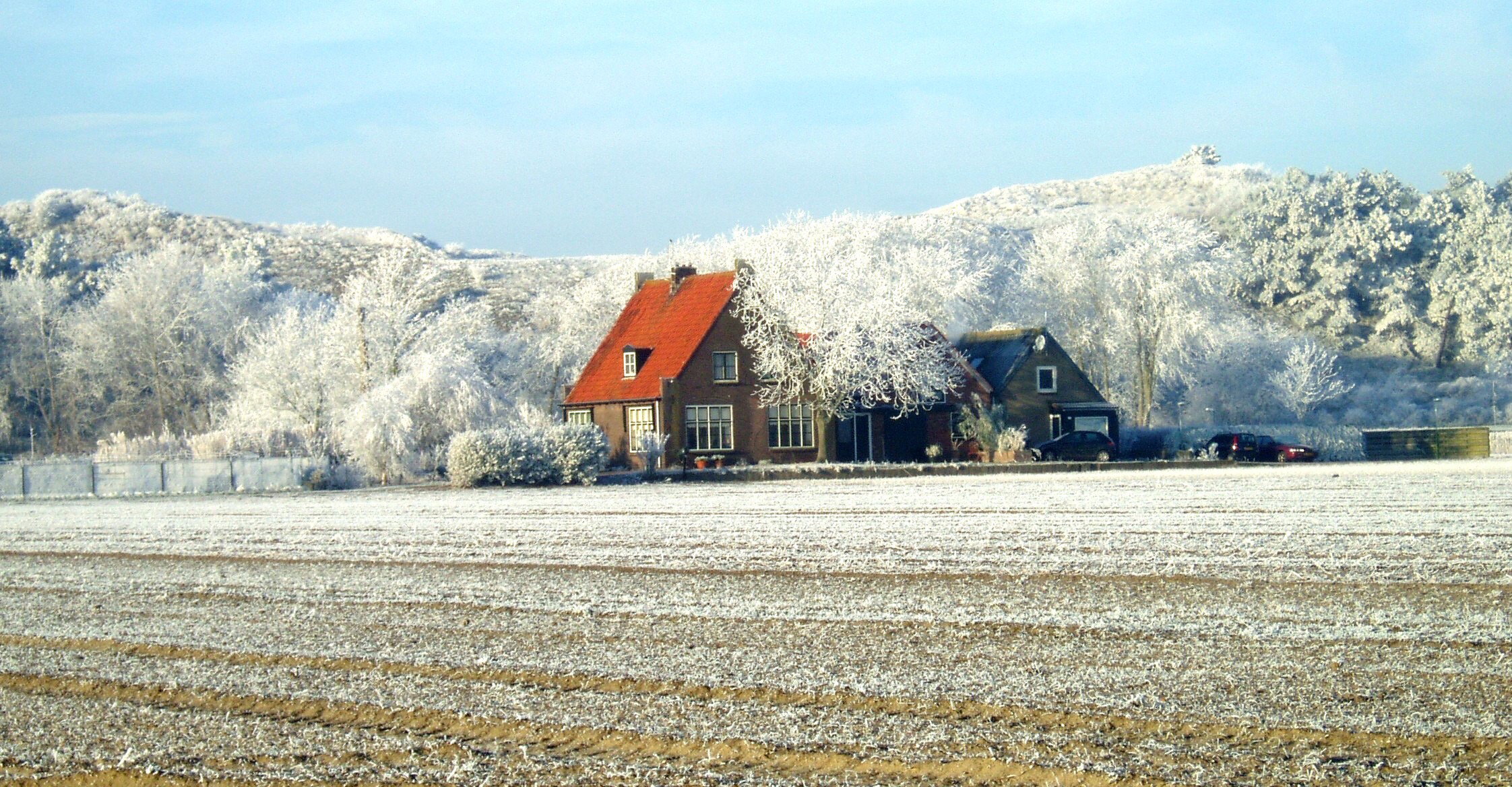 - image: 63