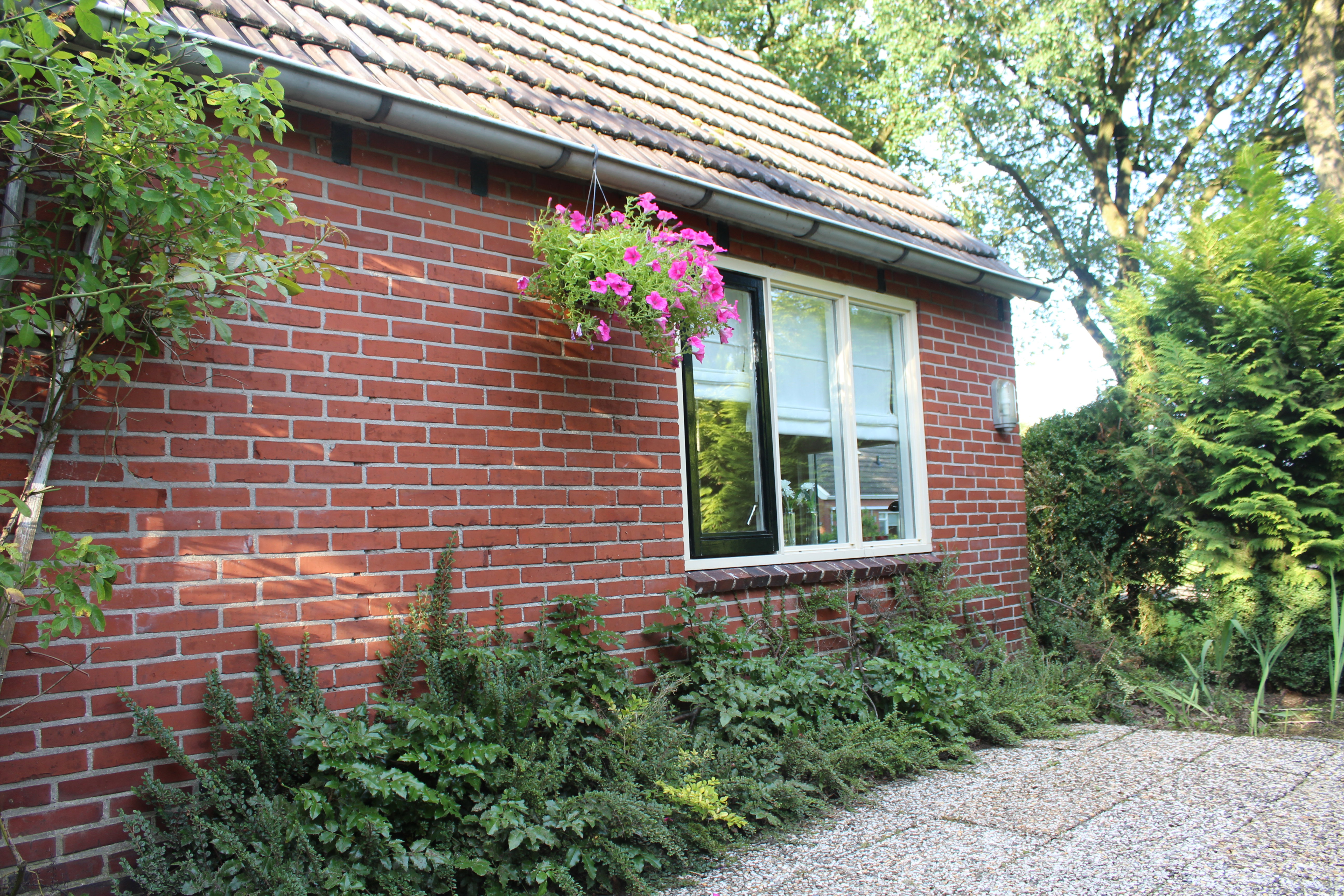 Maison nature à Exloo