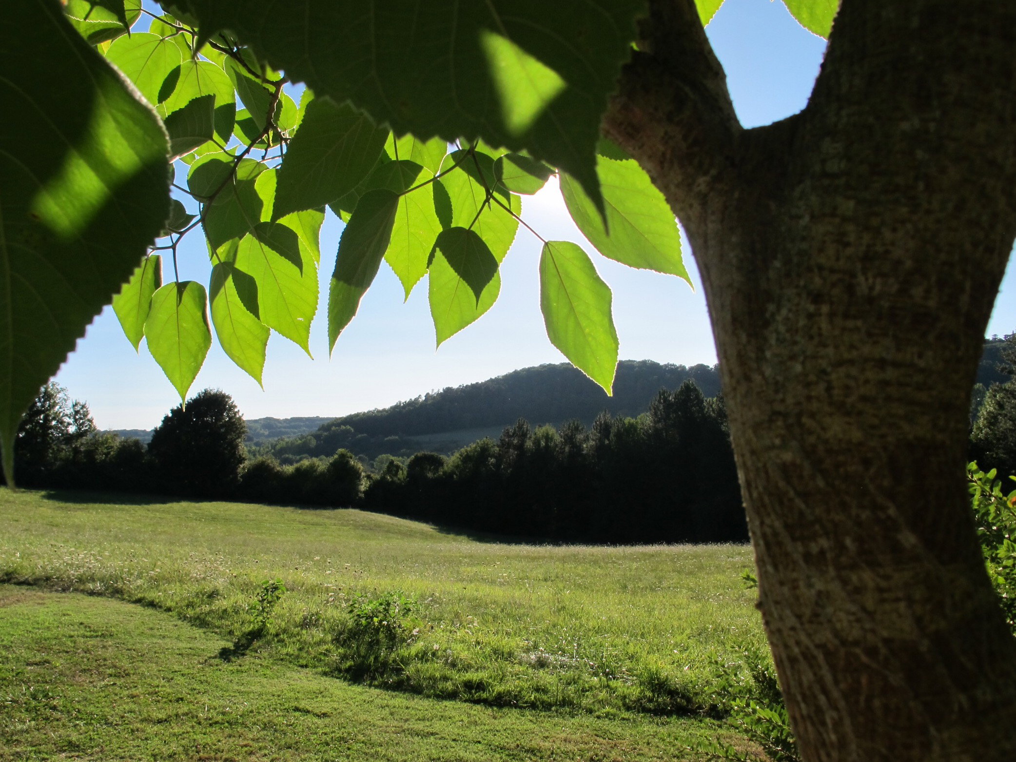 Natuurhuisje in Hautefage la Tour