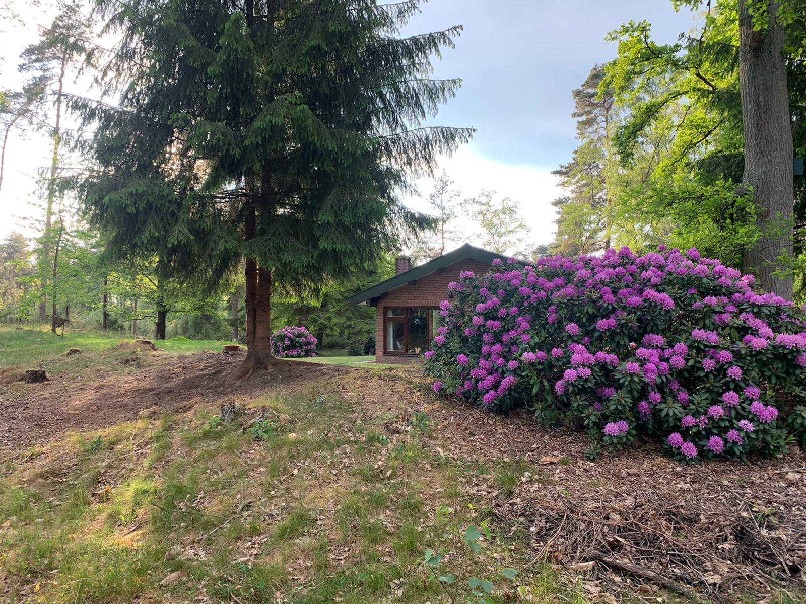 Casa nella natura a de Lutte