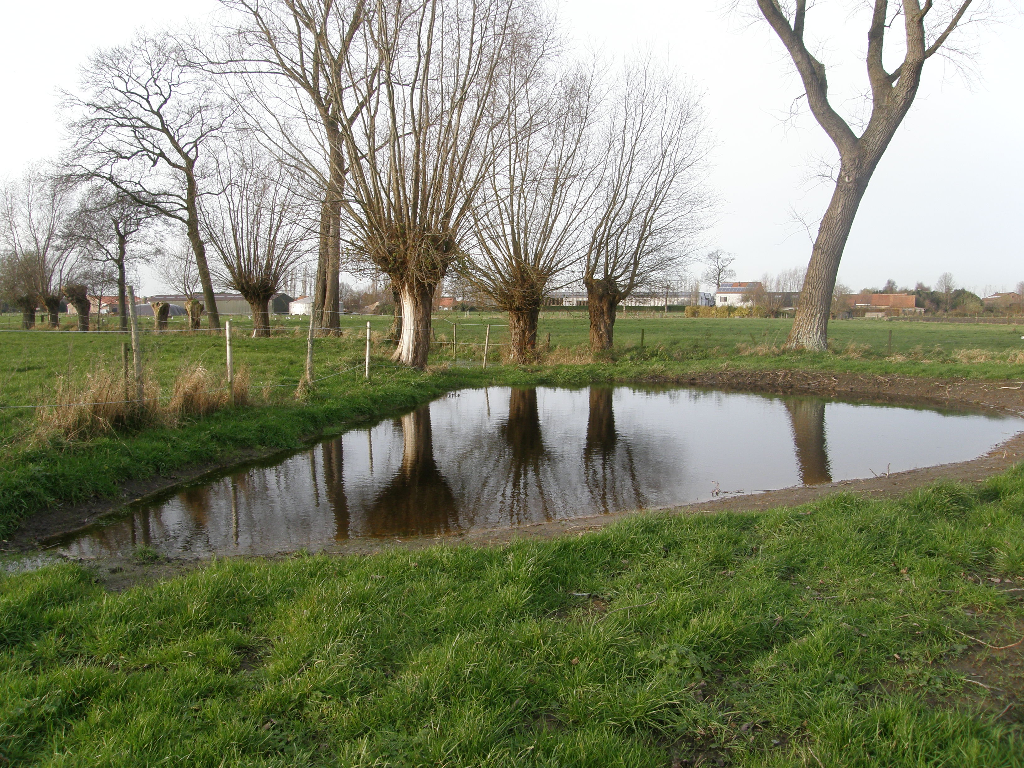 - image: 12