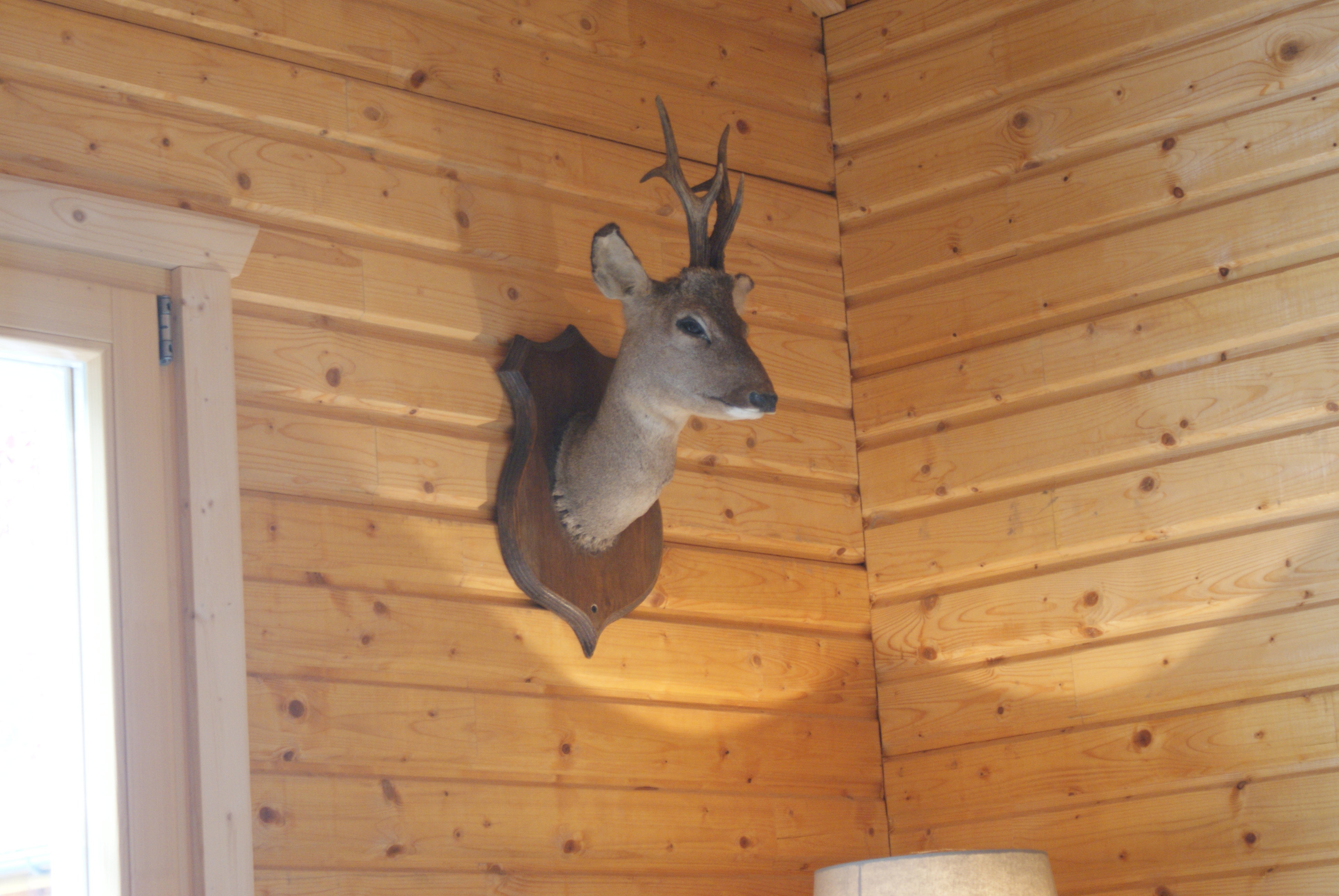Naturhäuschen in Erezée