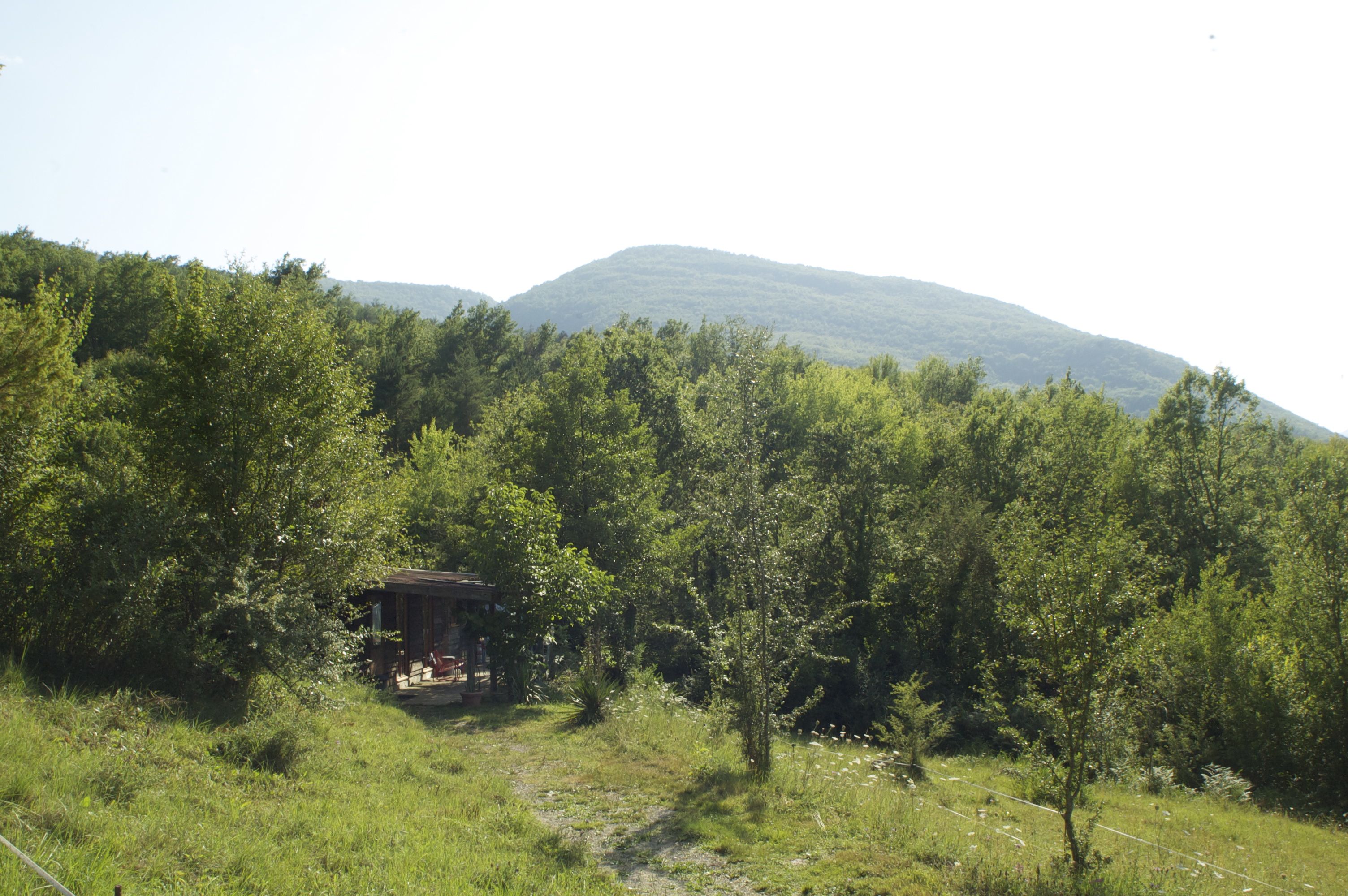 - image: 8