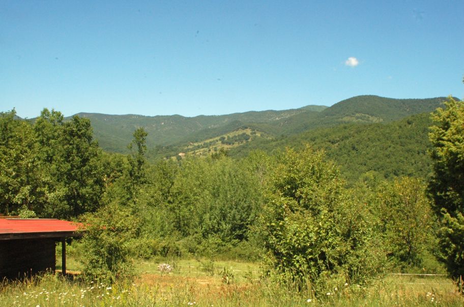 - image: 4