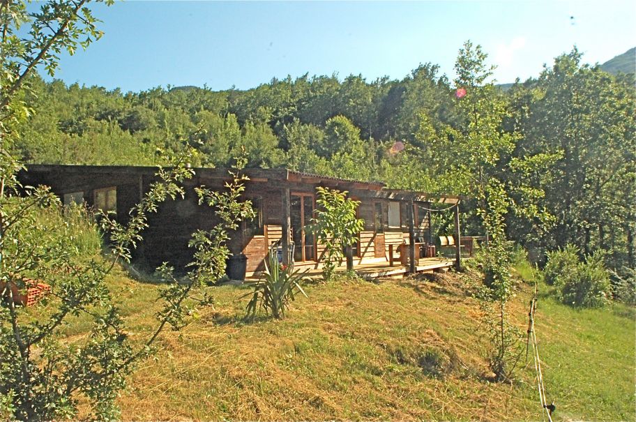 - image: 1