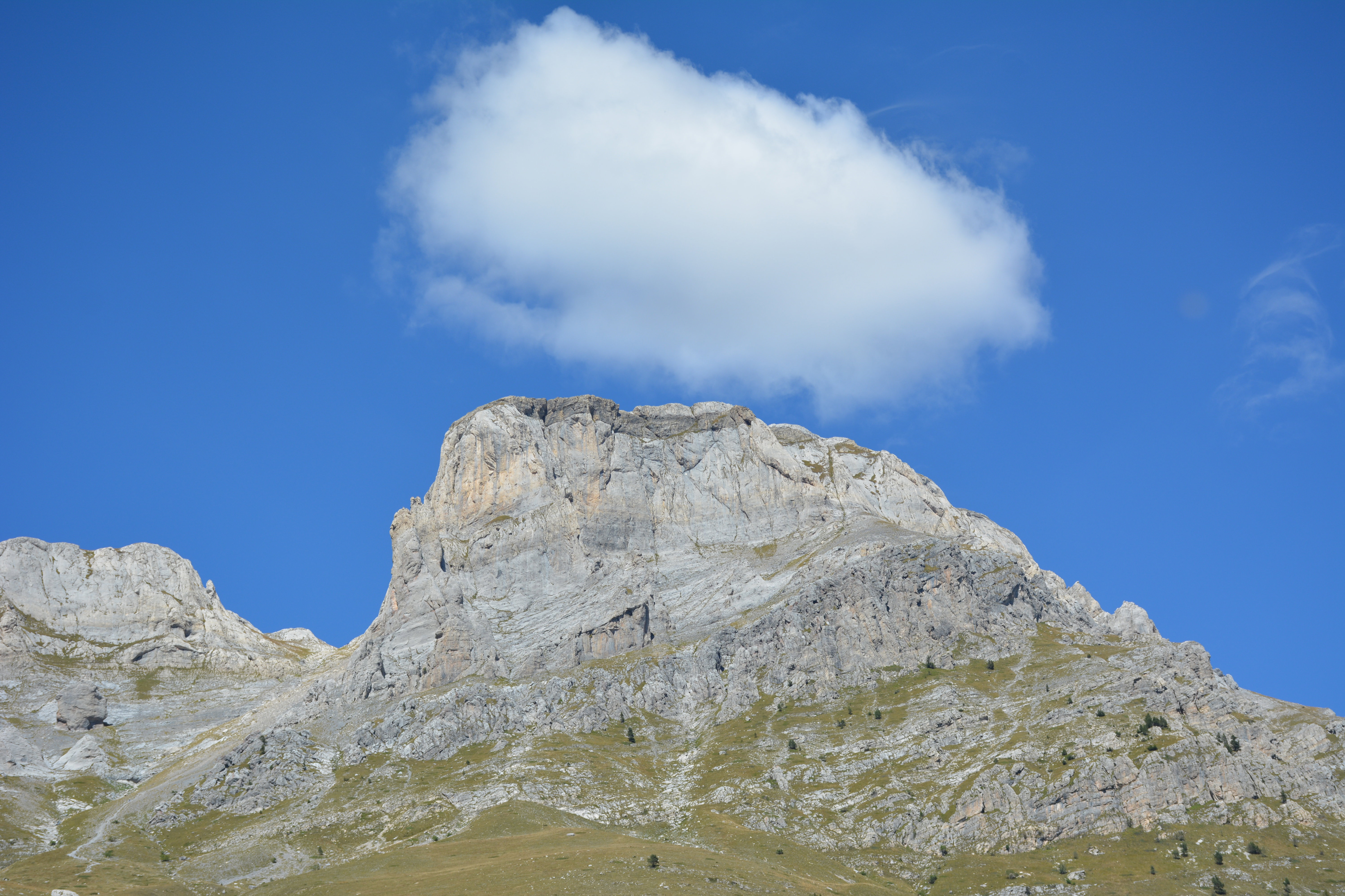 - image: 63