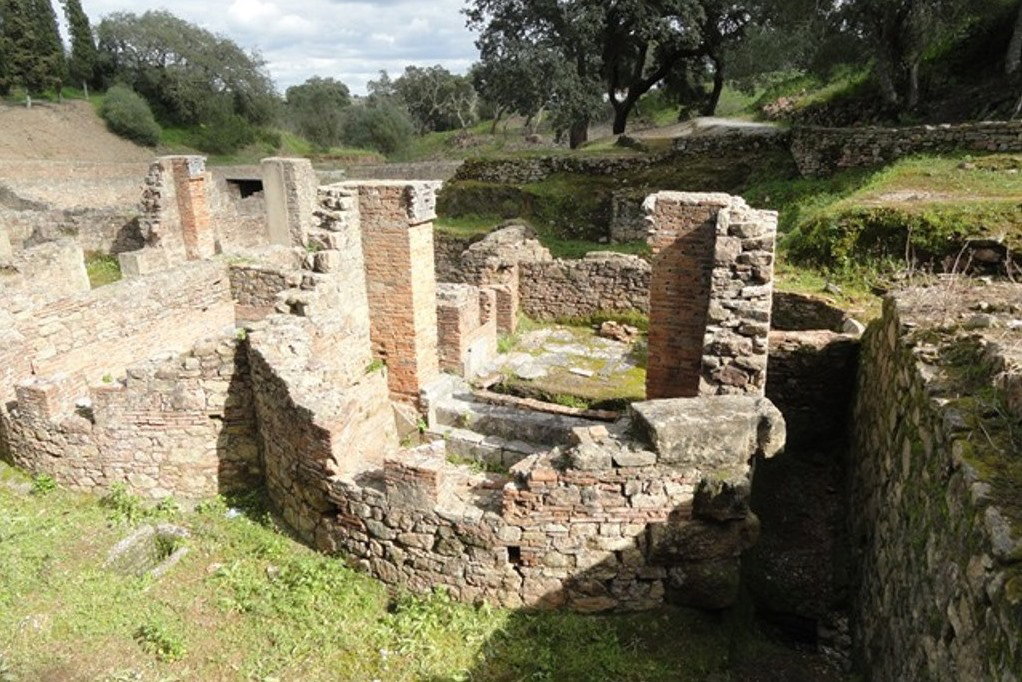 - image: 19