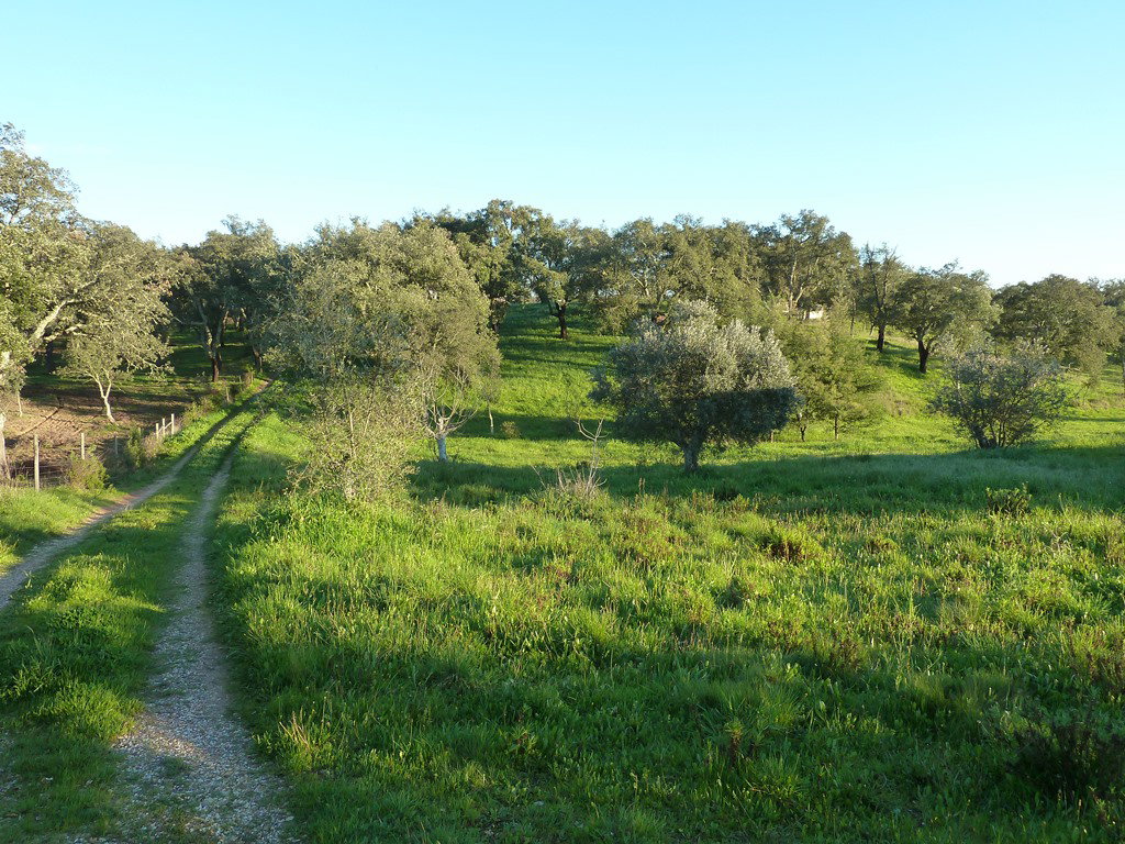 Natuurhuisje in Abela