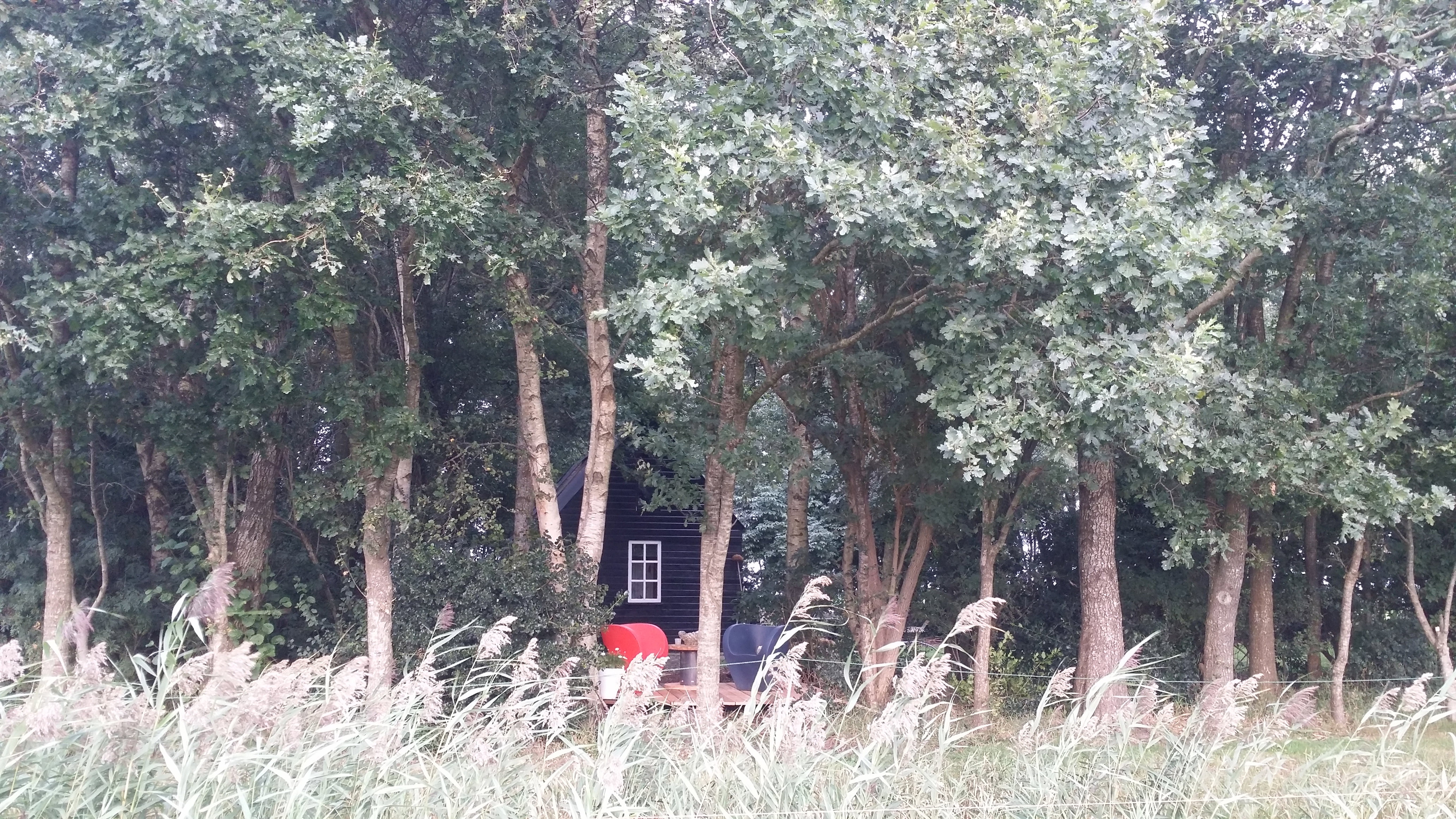 Maison nature à Ter Idzard