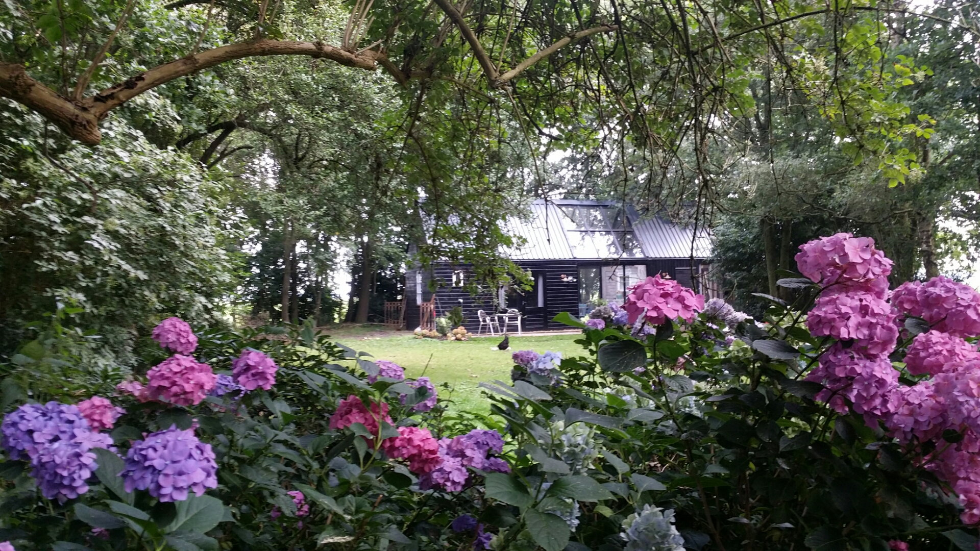 Maison nature à Ter Idzard