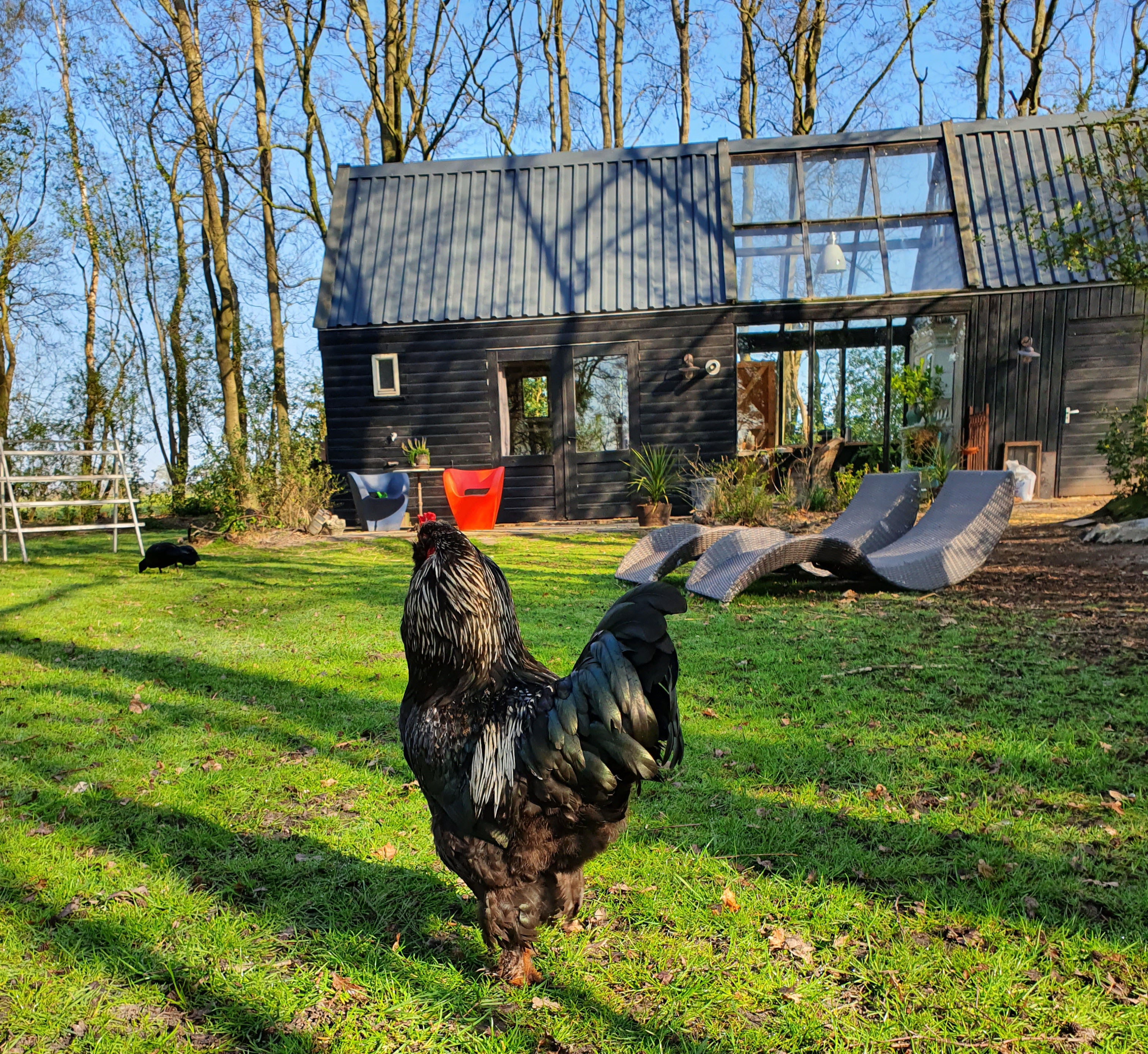Maison nature à Ter Idzard