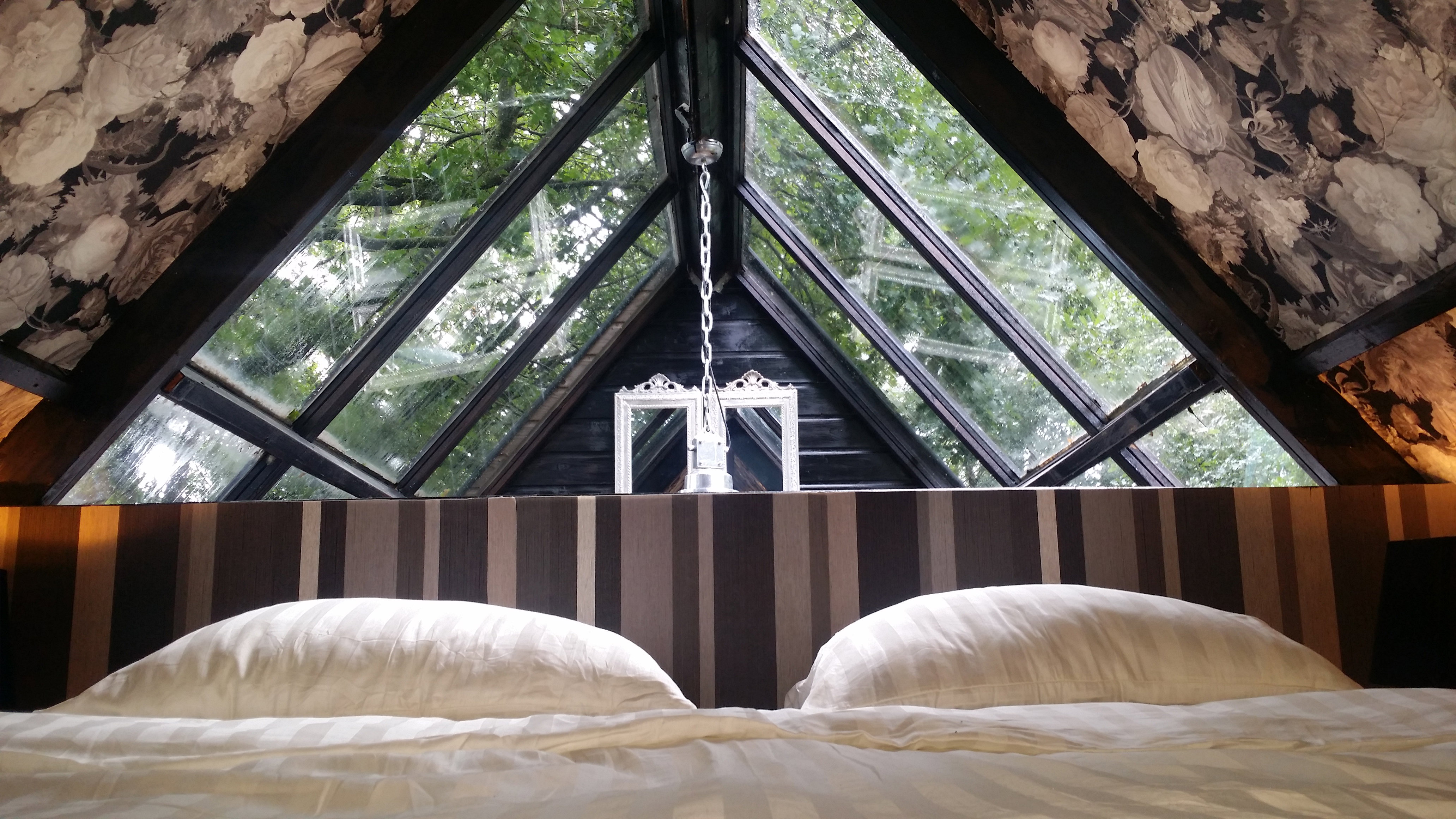 Maison nature à Ter Idzard