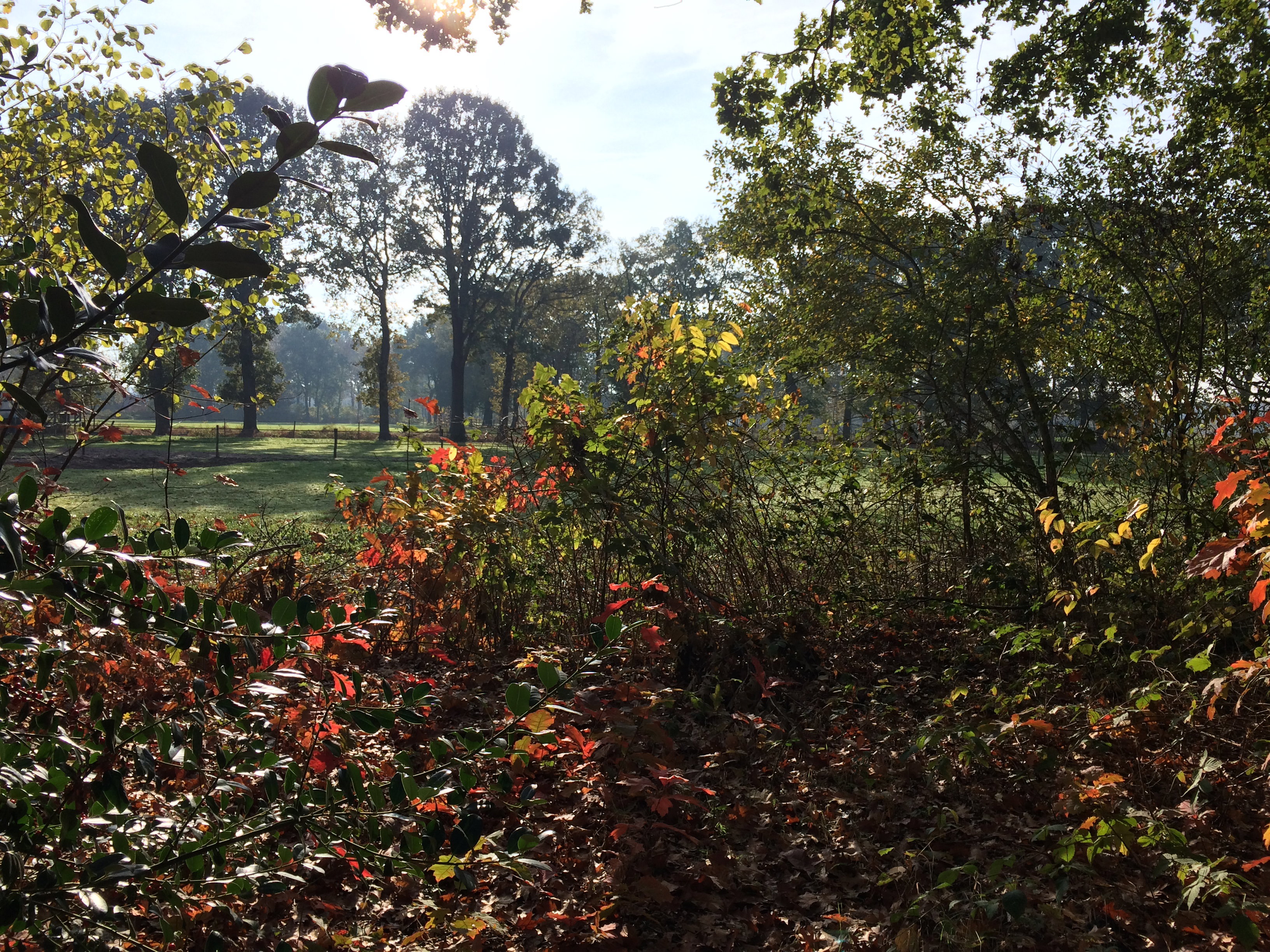 Naturhäuschen in Rijsbergen