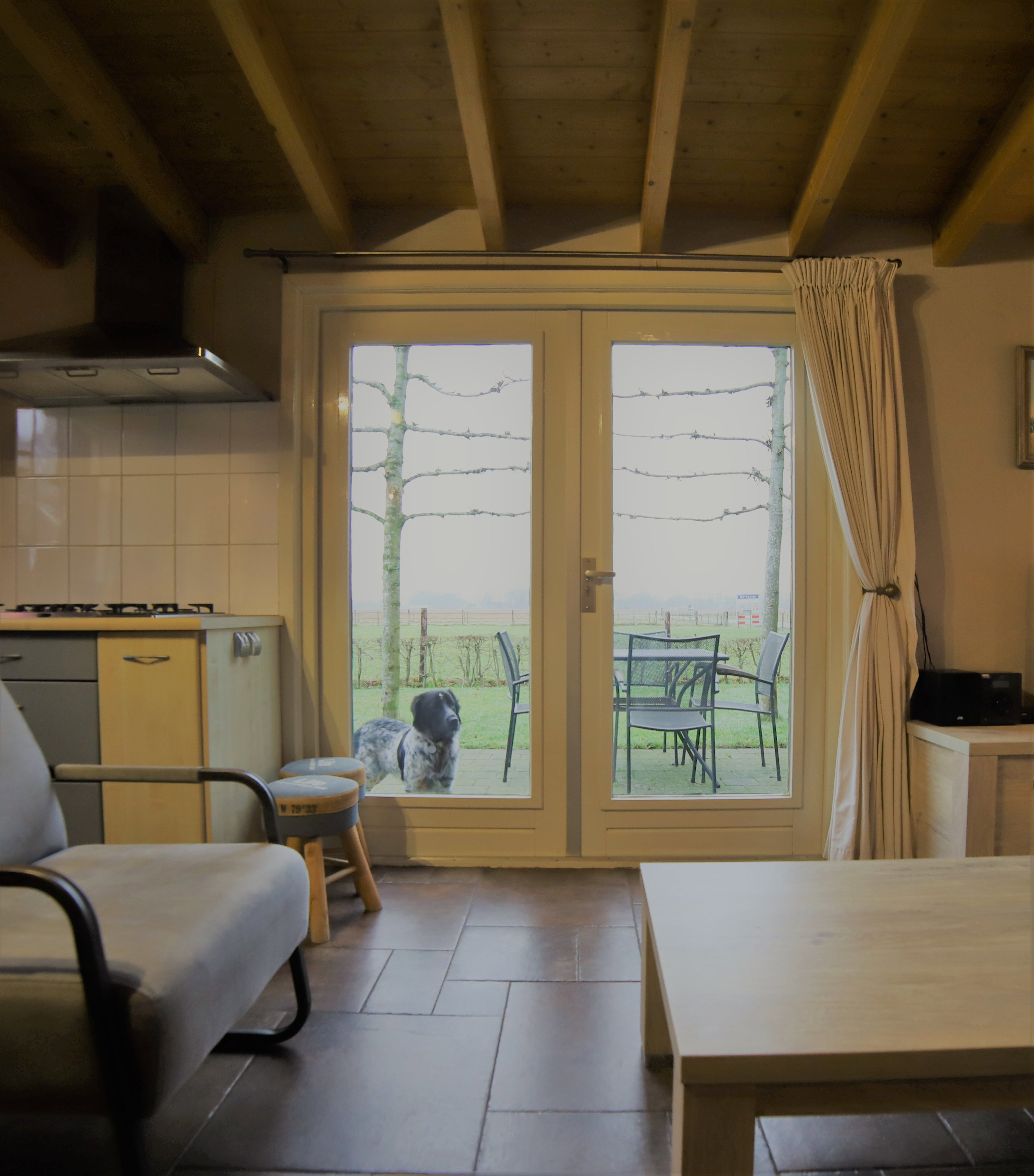 Natuurhuisje in Dwingeloo