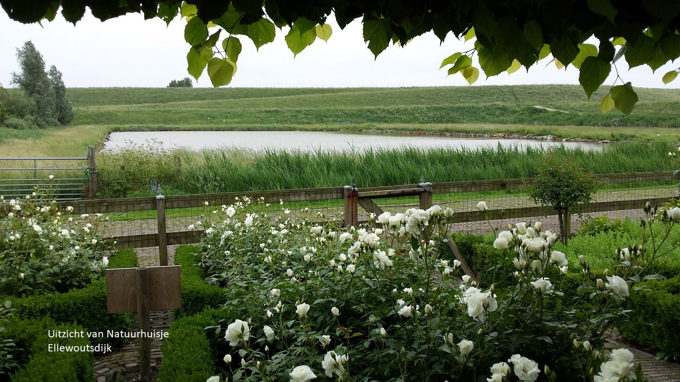 Naturhäuschen in Ellewoutsdijk