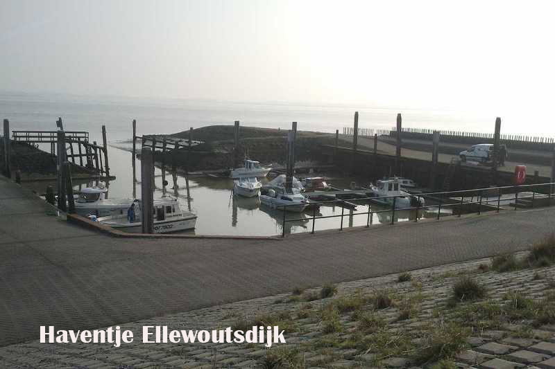 - image: 58