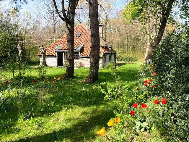Casa nella natura a Bergen