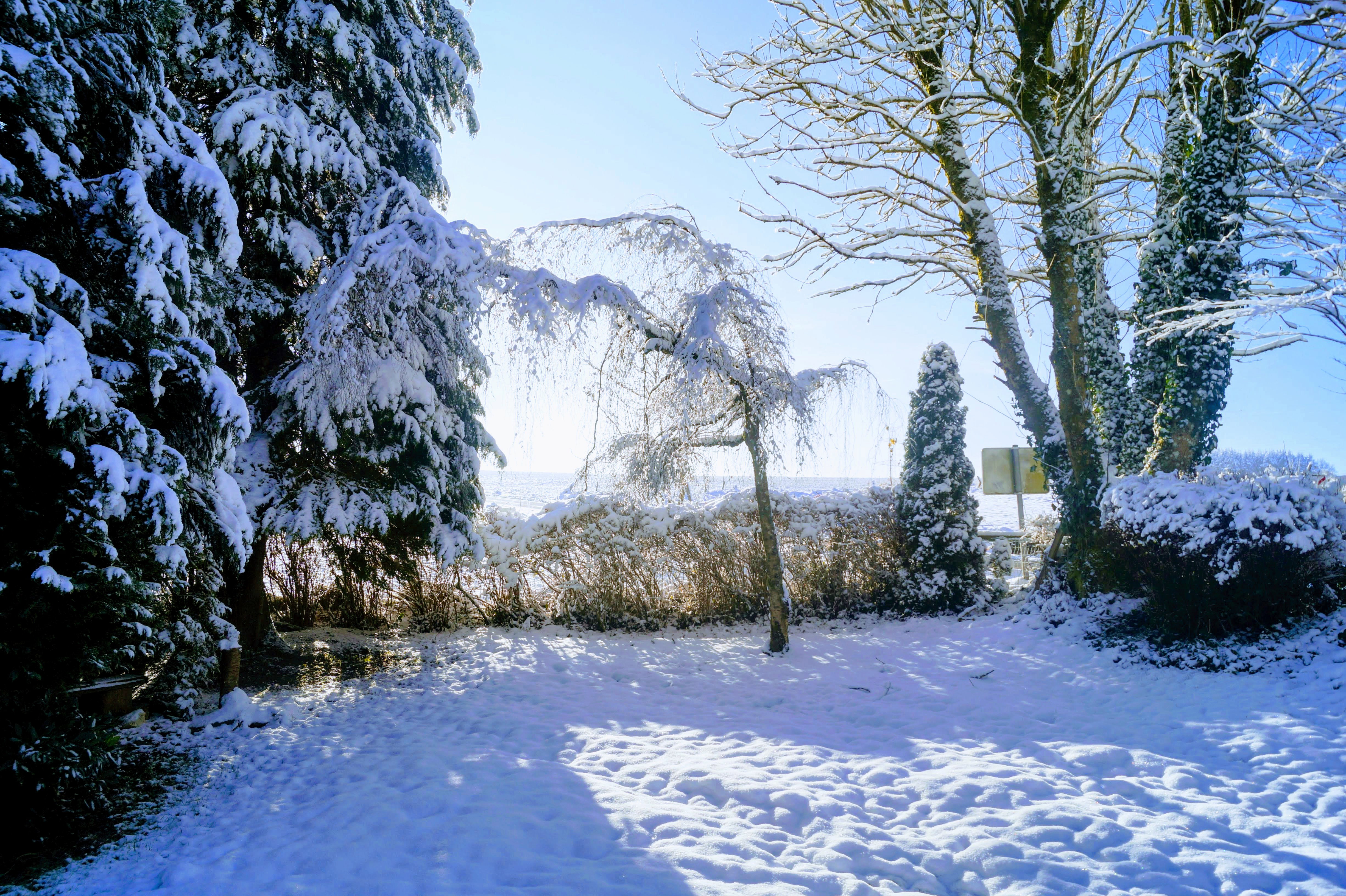 Naturhäuschen in Bihain