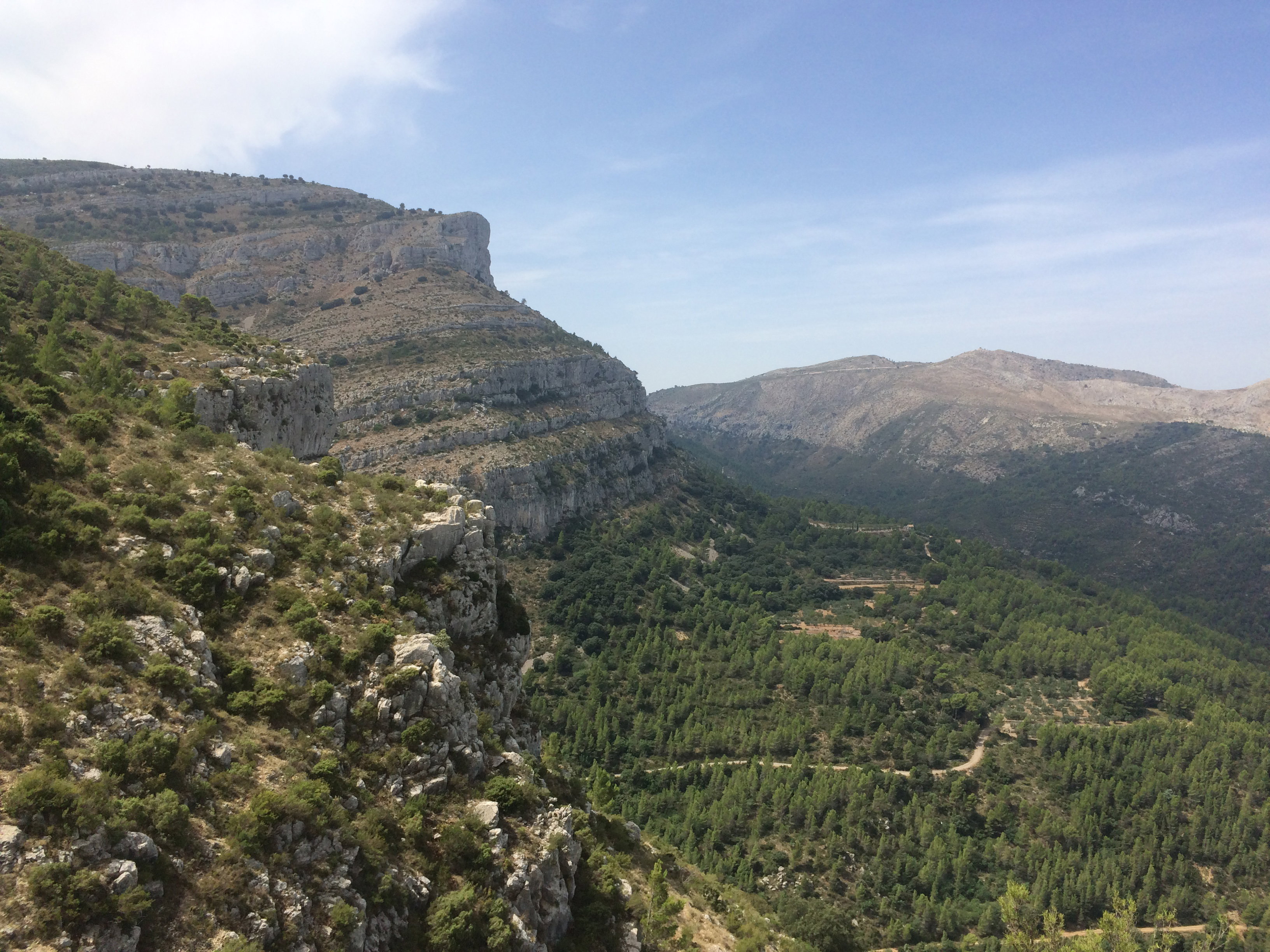 - image: 25