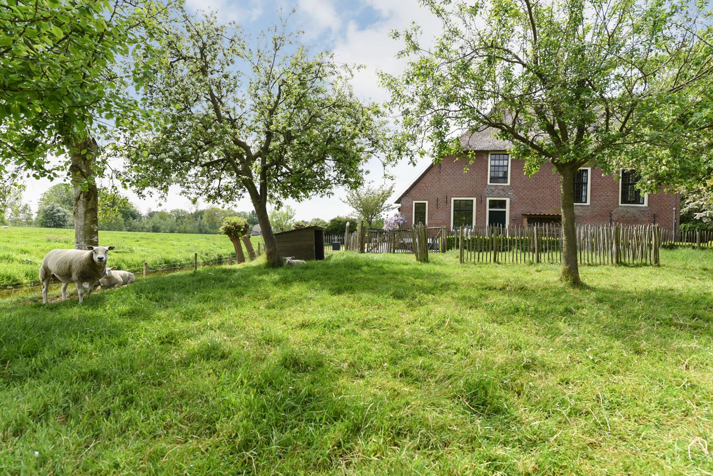 Naturhäuschen in Zoeterwoude