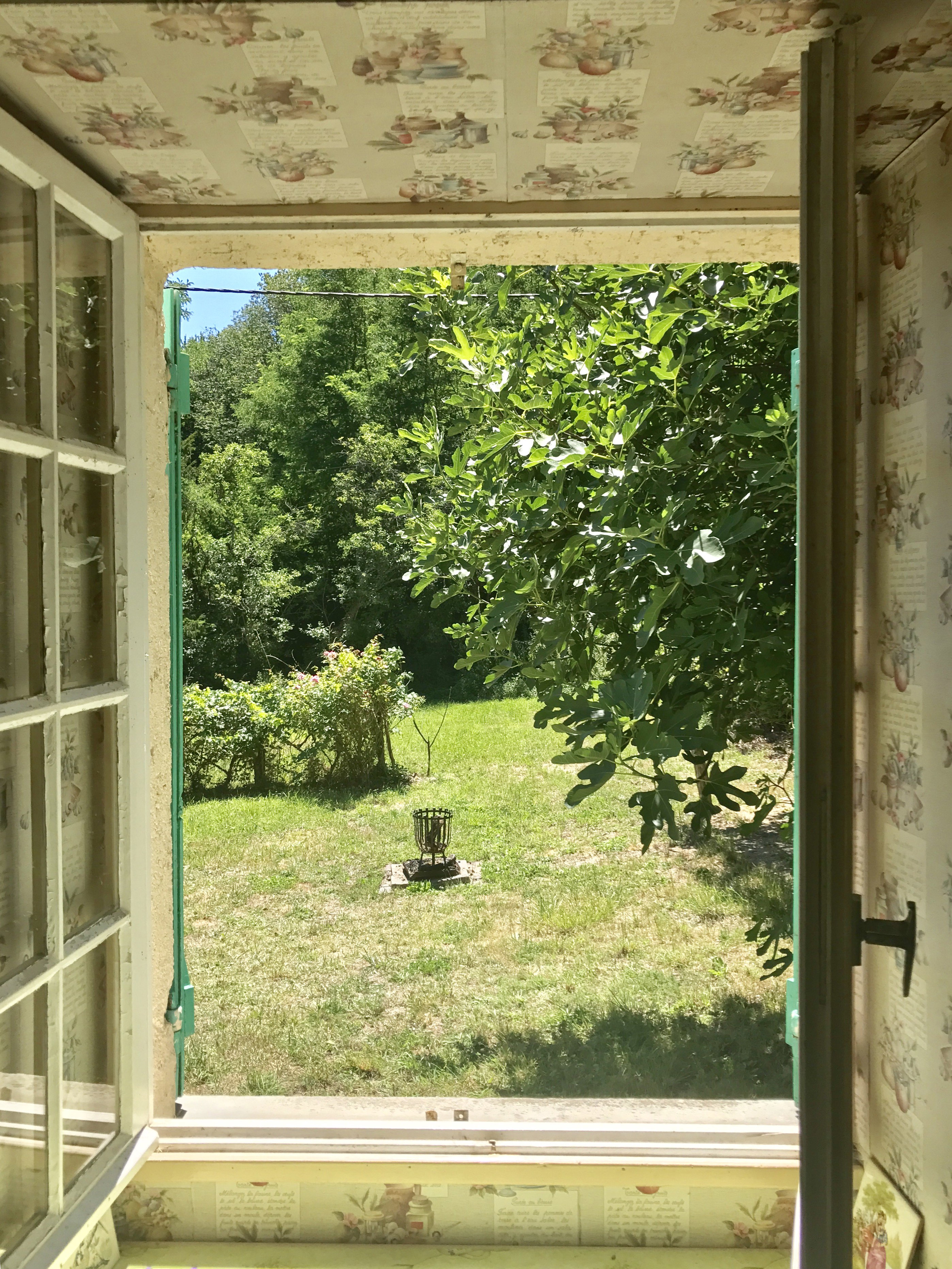 - image: 11