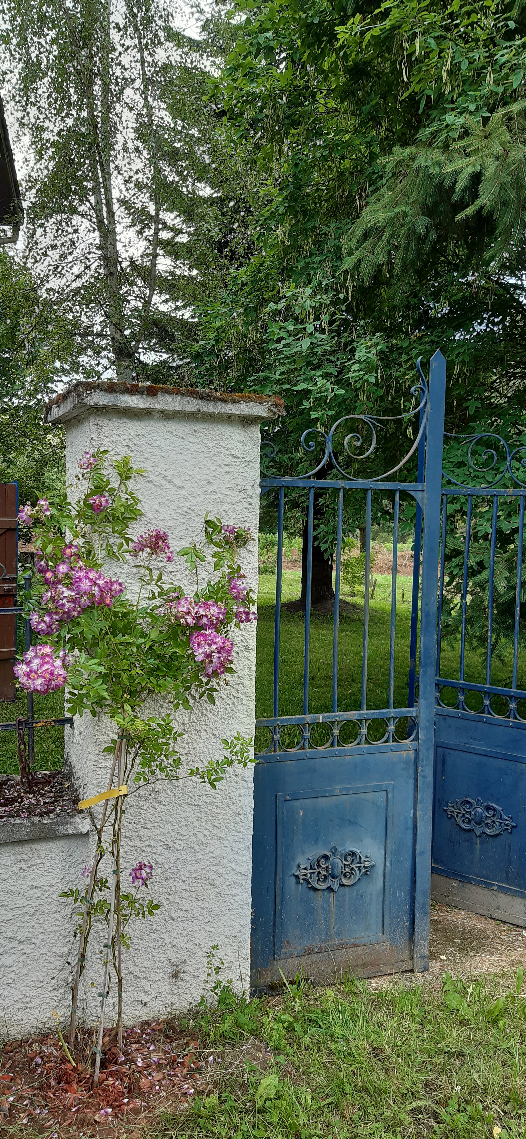 - image: 26
