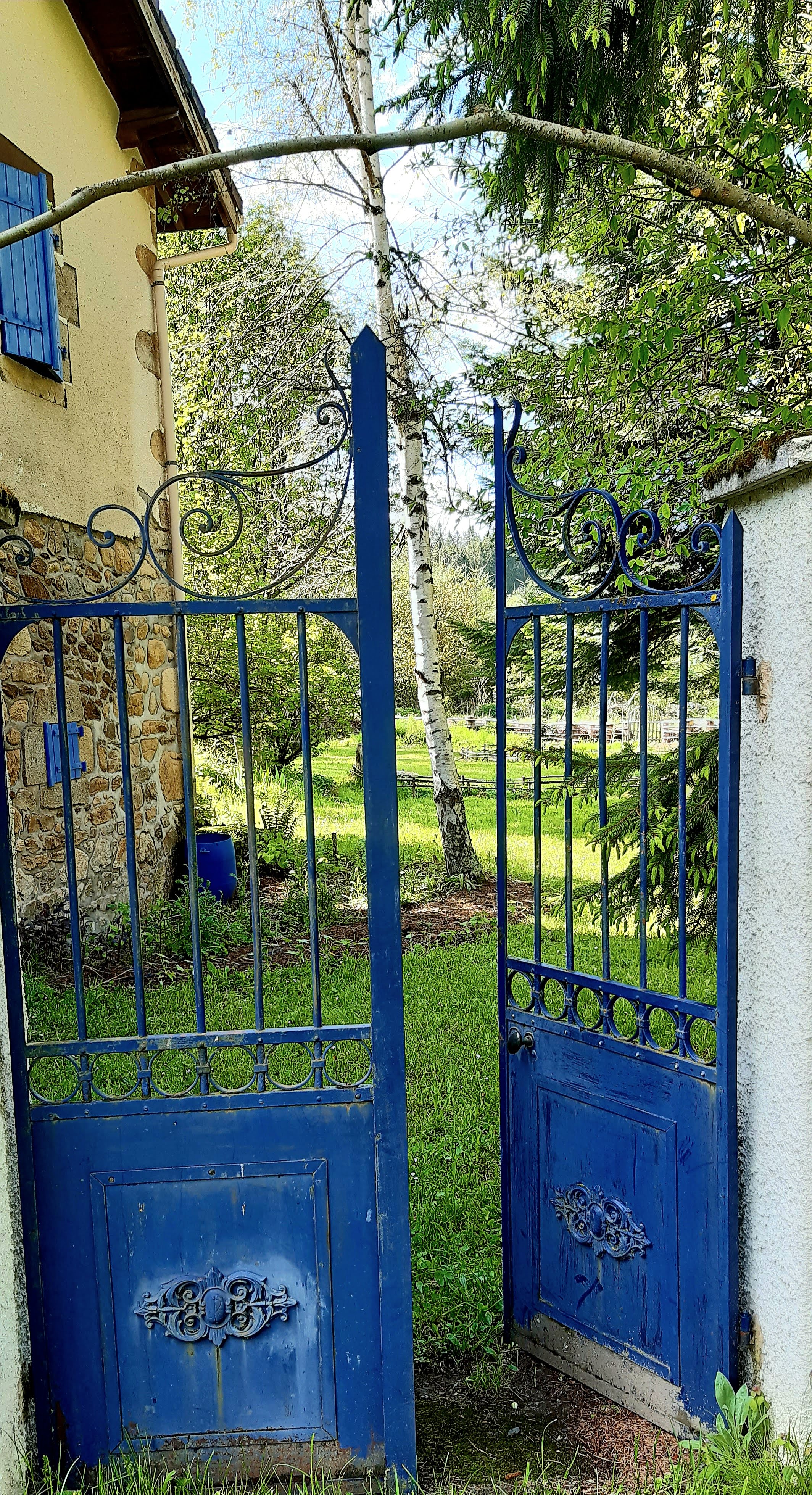 - image: 25