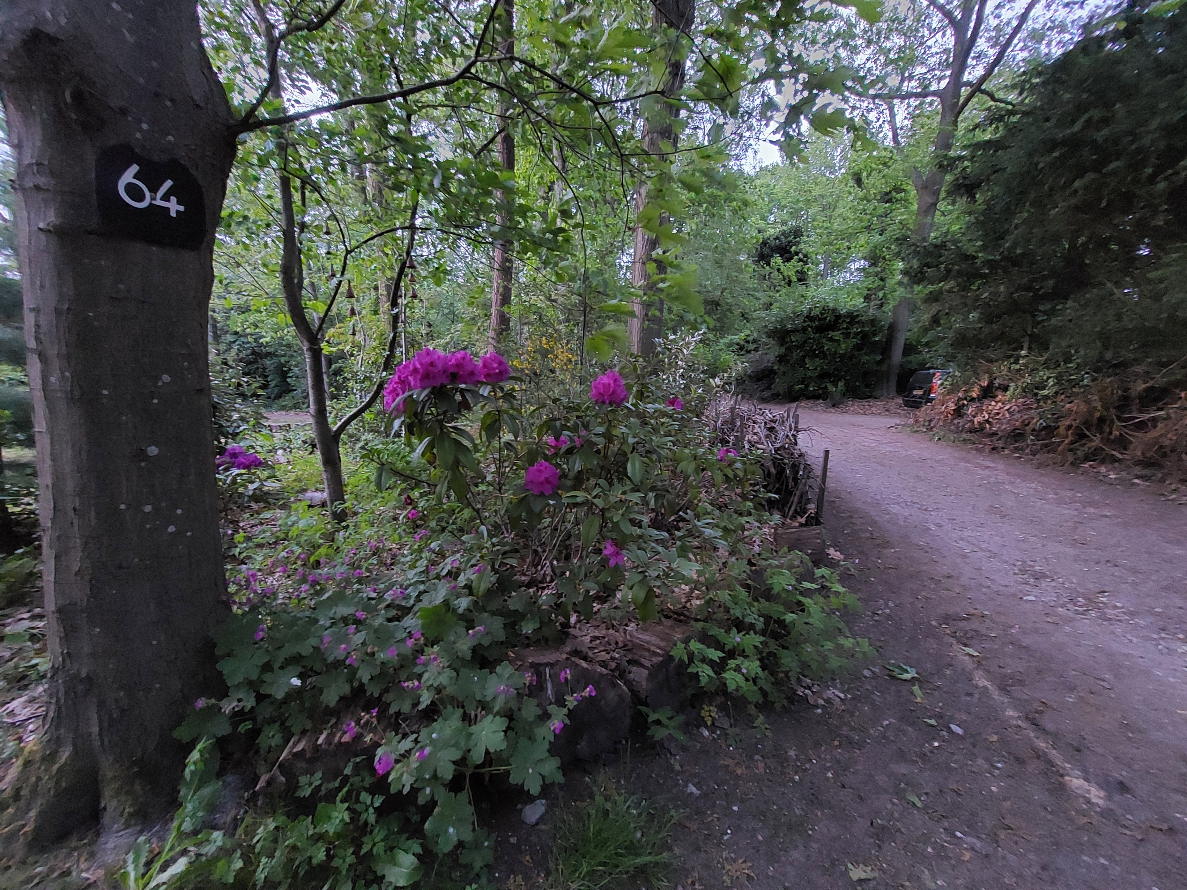 Casa nella natura a Doldersum