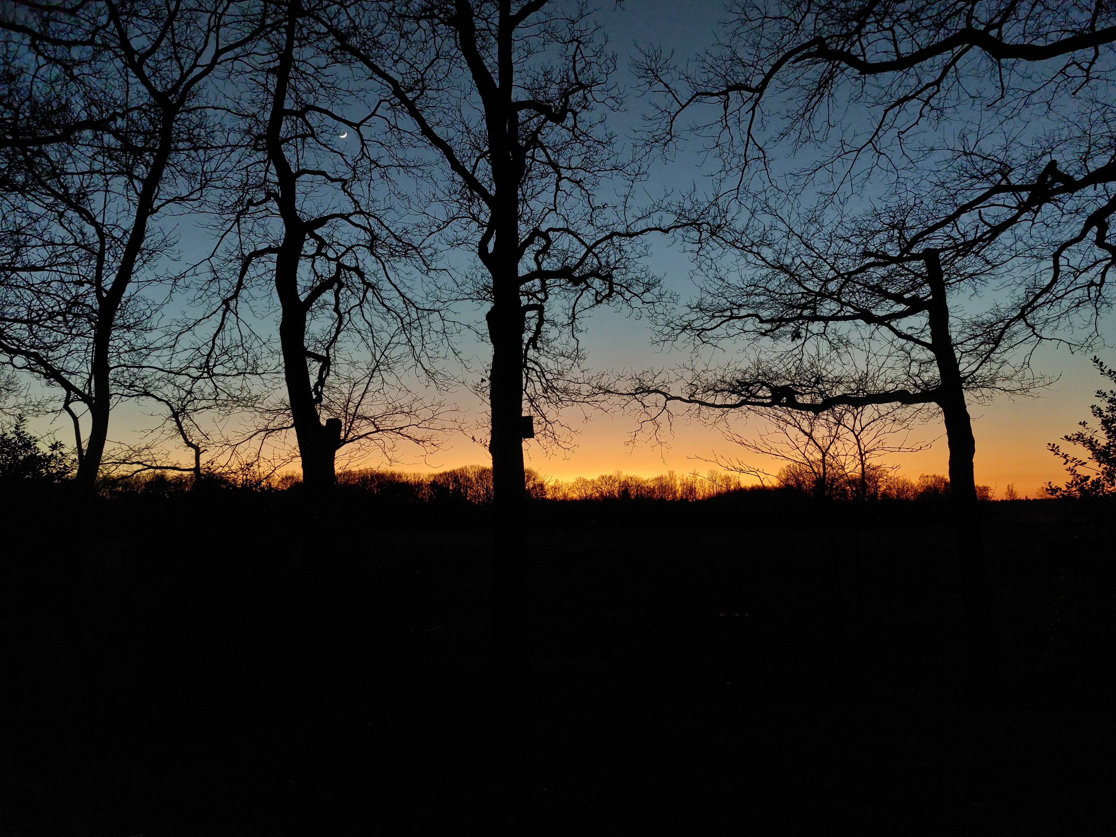 - image: 15