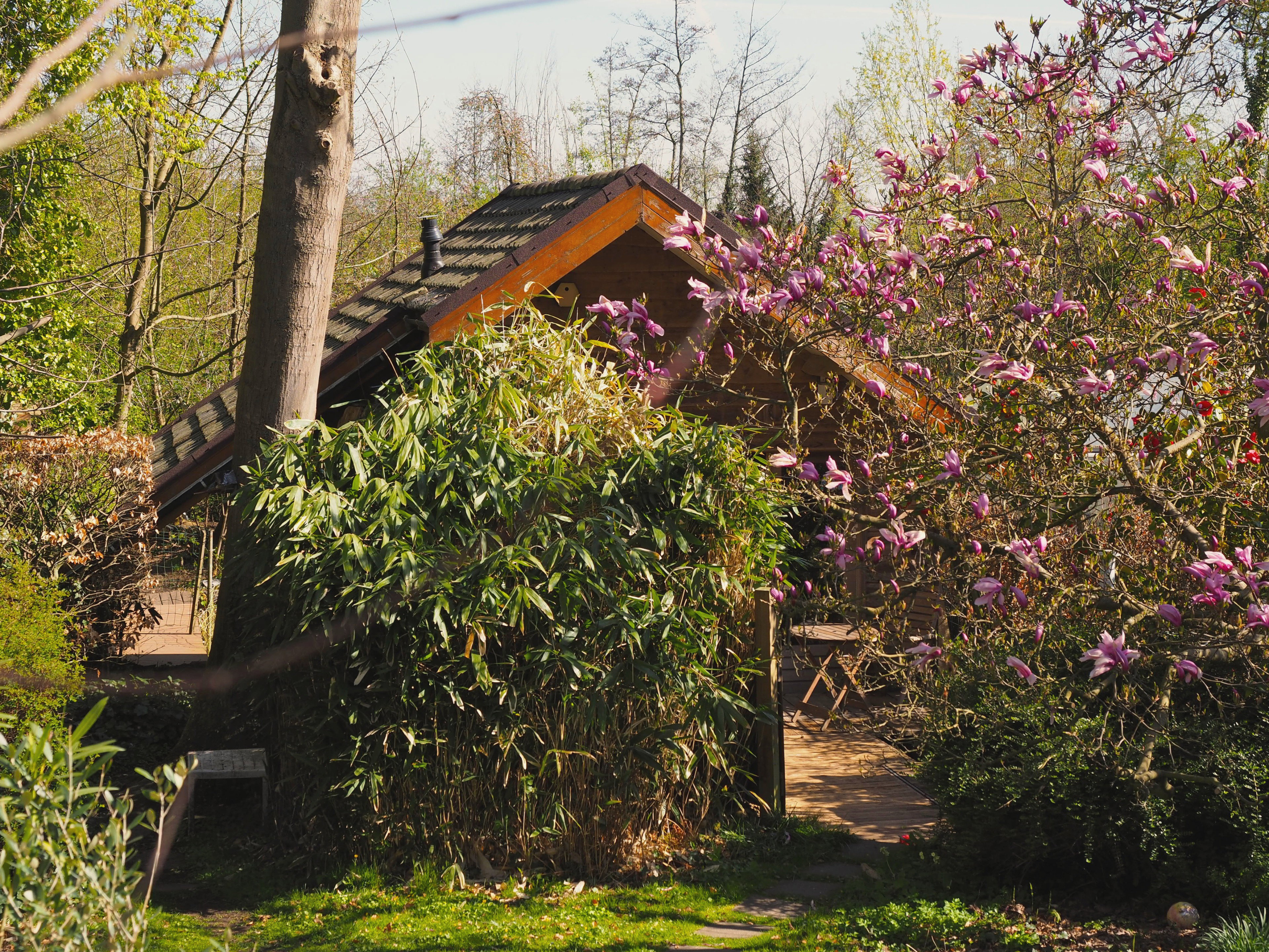 Casa nella natura a Ubbergen