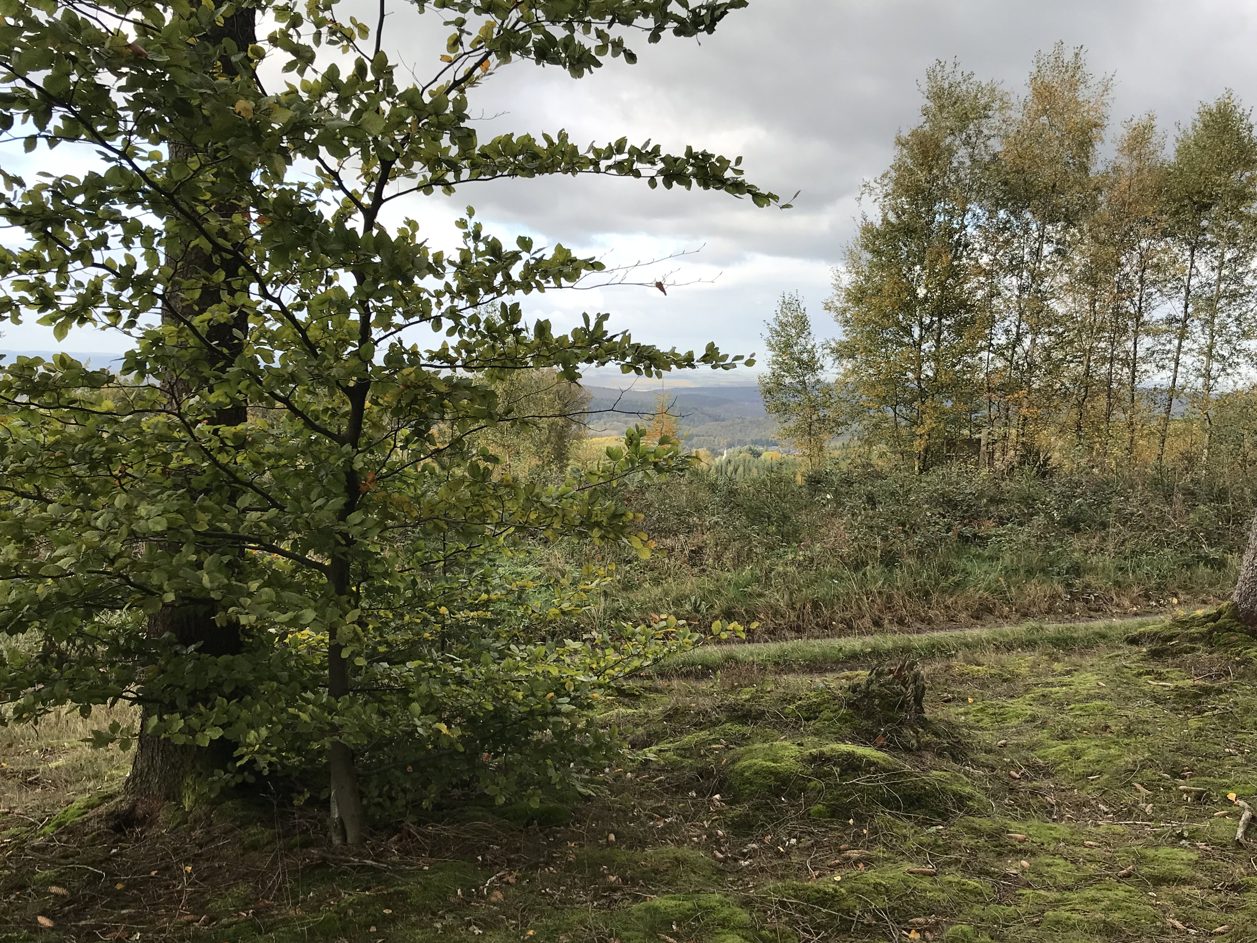 Natuurhuisje in Tellin