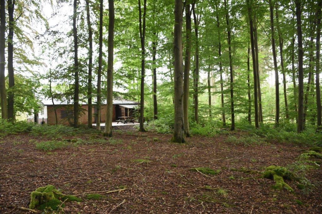 Natuurhuisje in Tellin