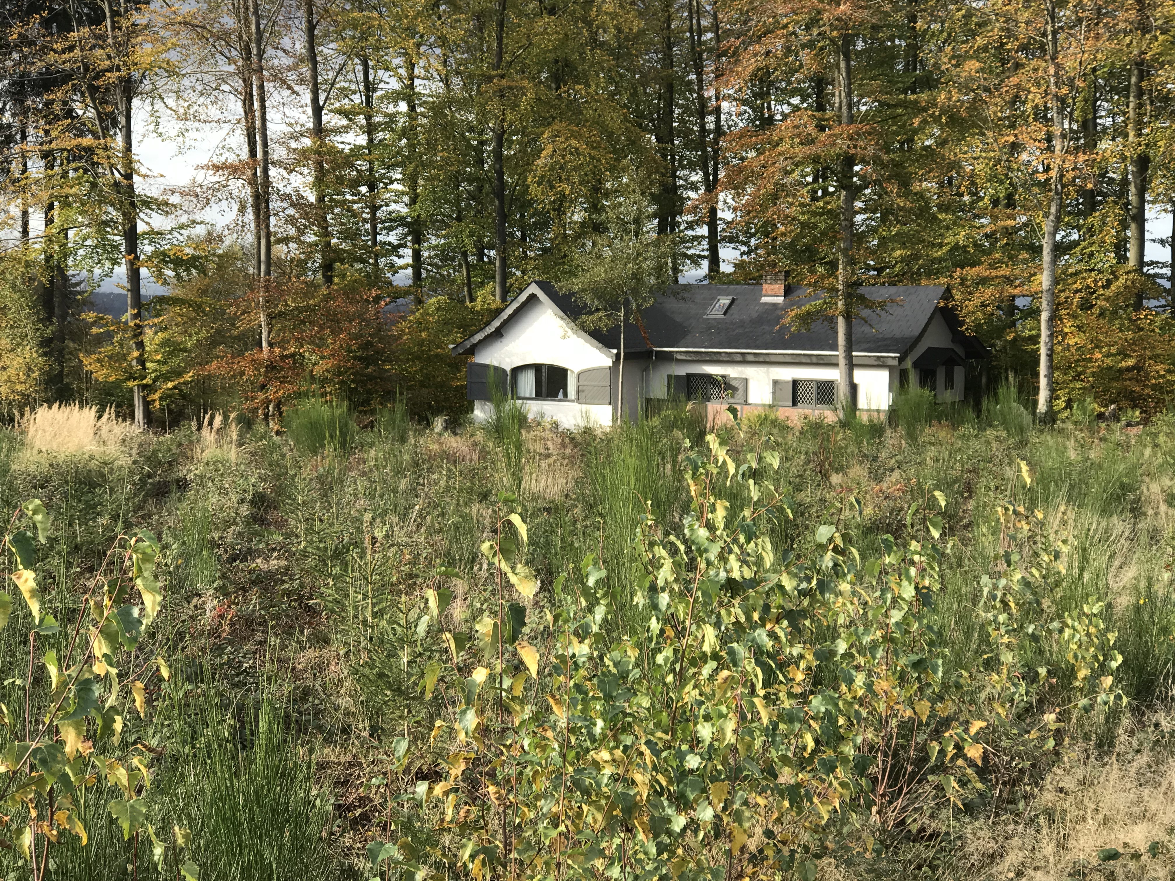 Natuurhuisje in Tellin