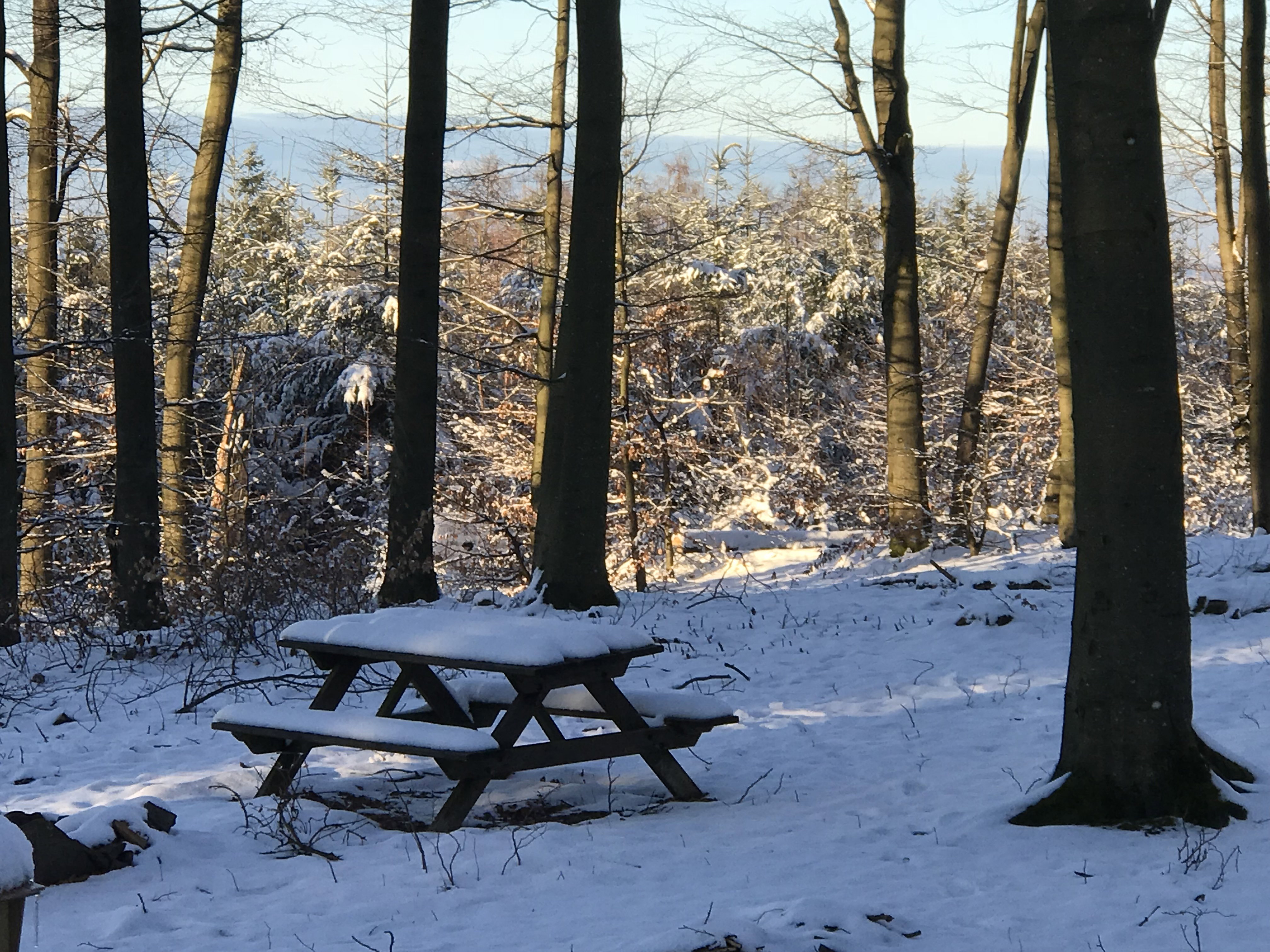 Natuurhuisje in Tellin