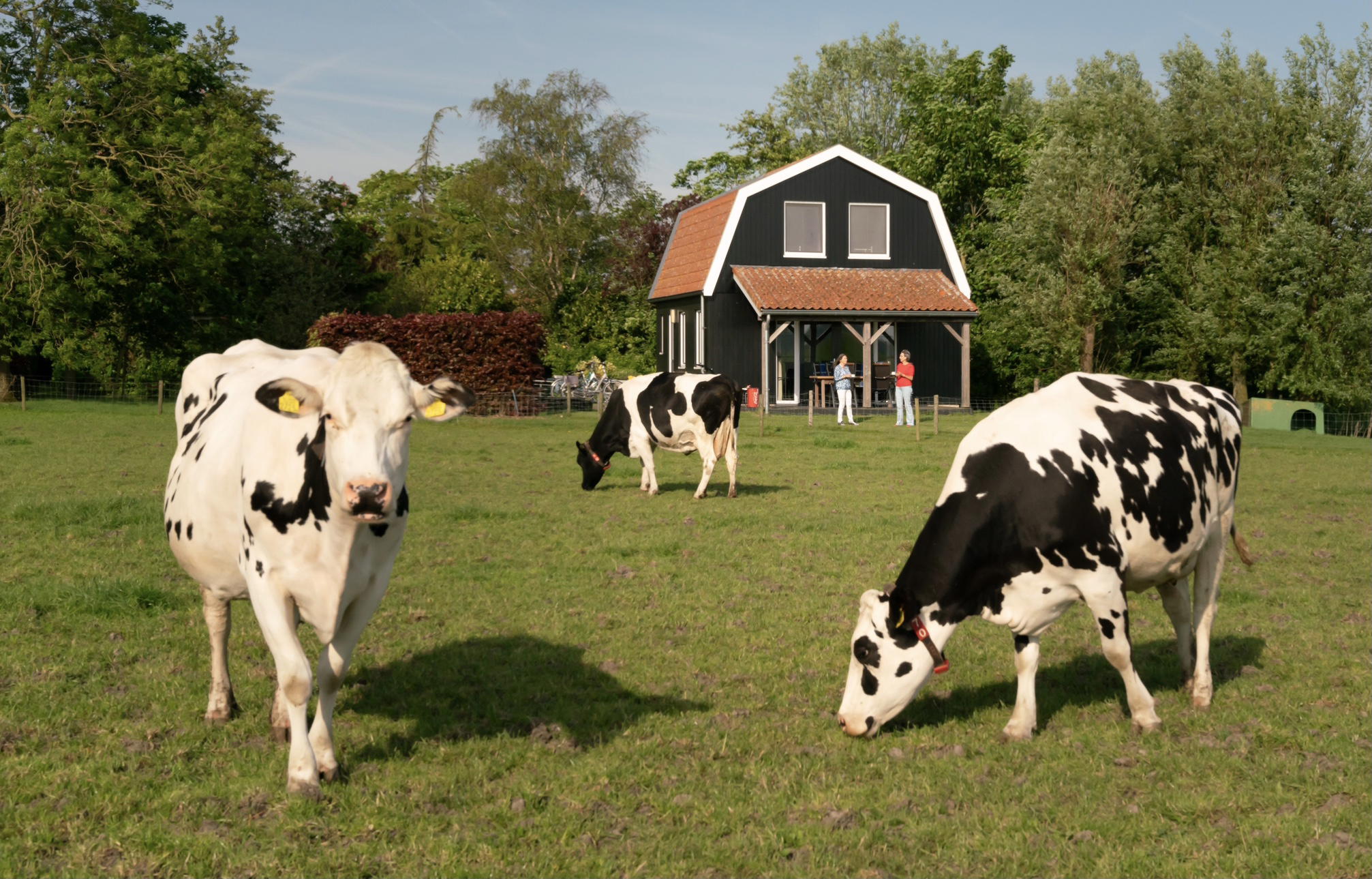 Nature house in Schellinkhout