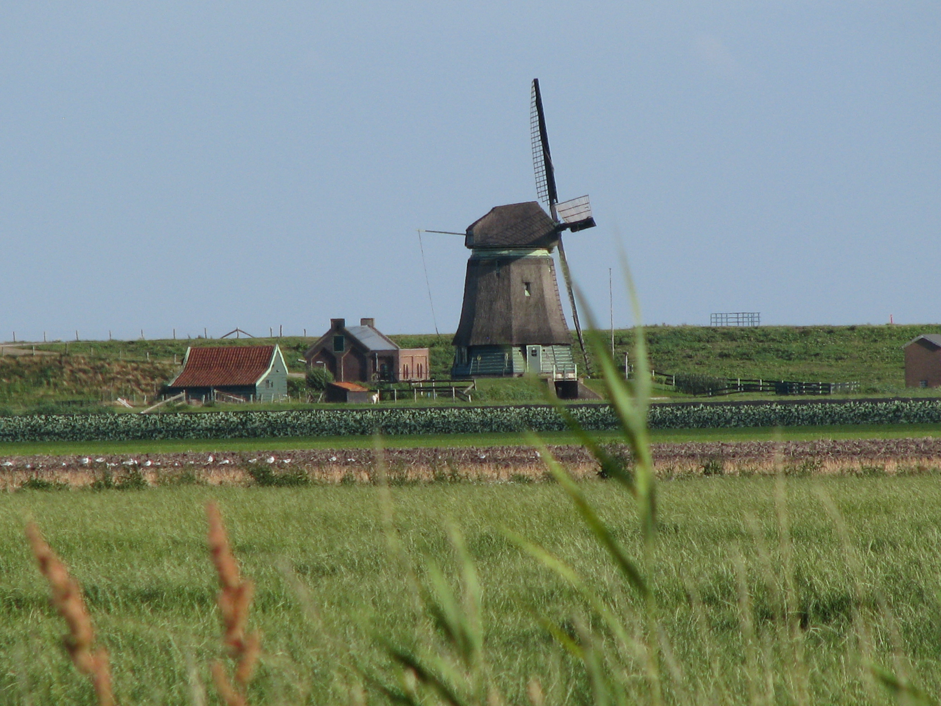 - image: 21