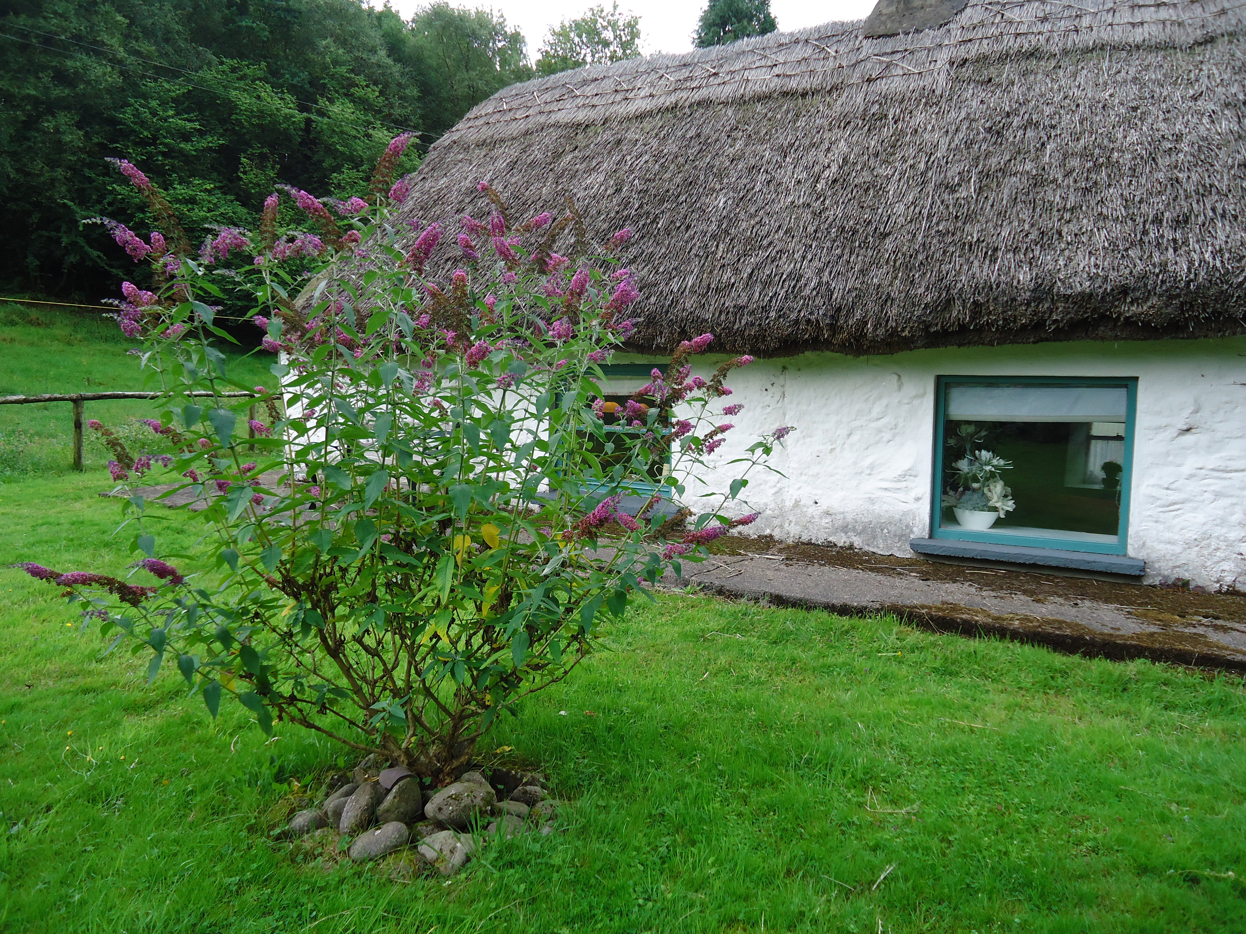 Maison nature à Ballymacarbry