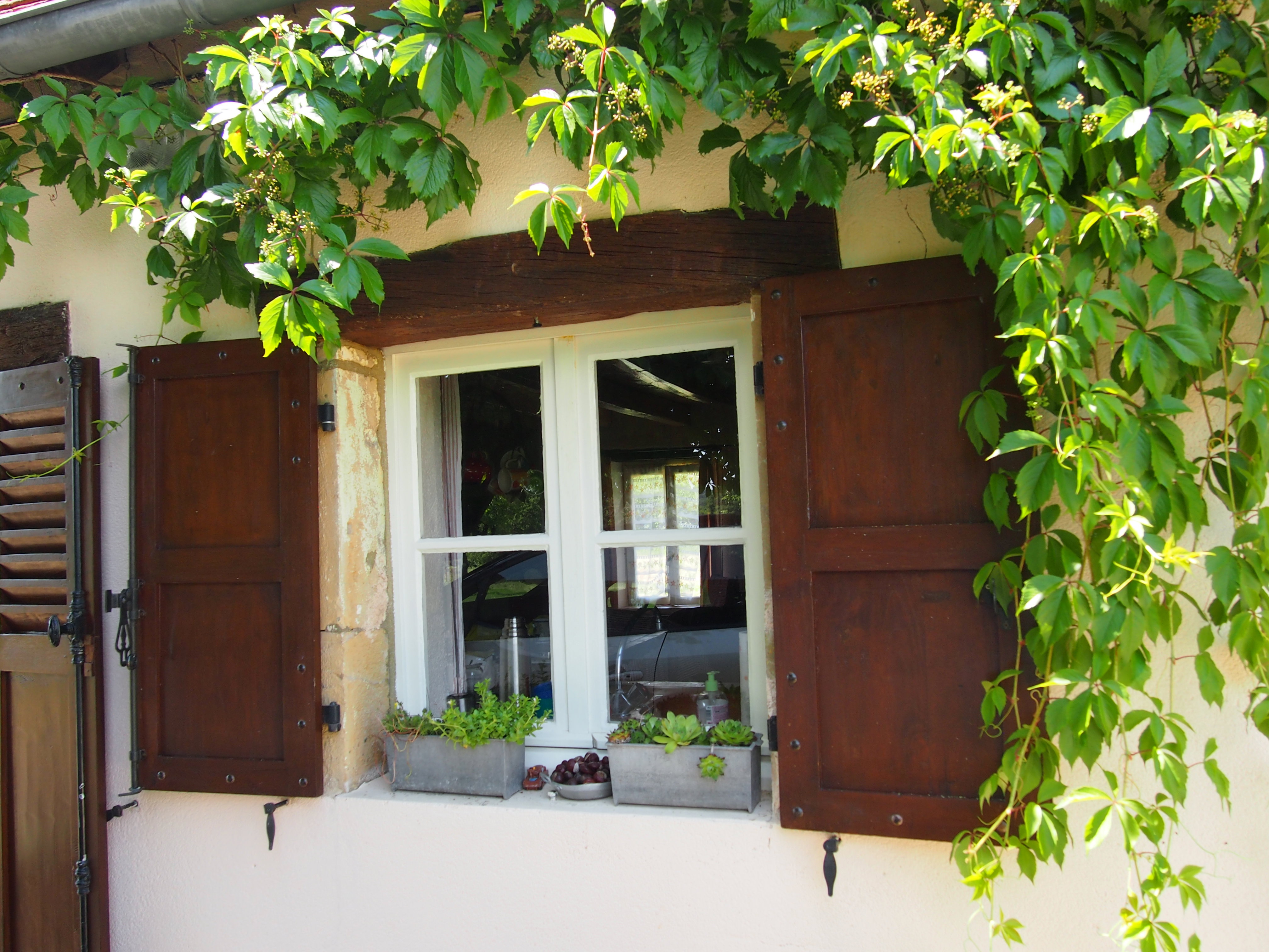 Maison nature à Valigny