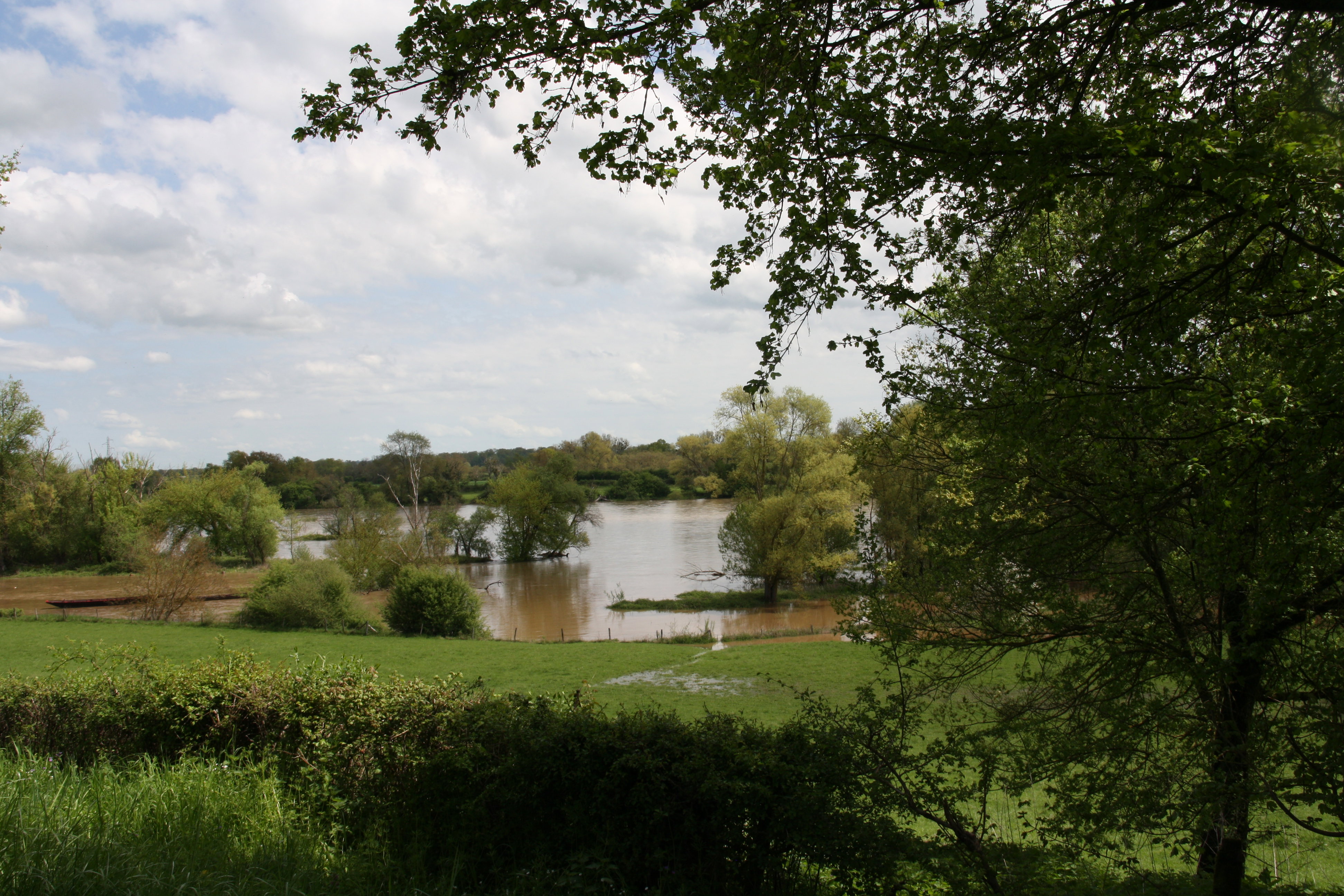 - image: 16
