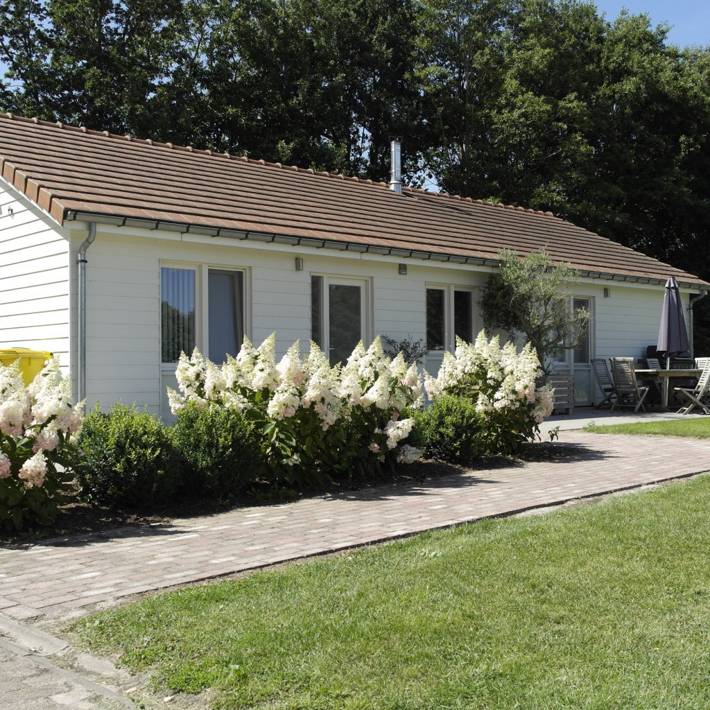 Nature house in Eede