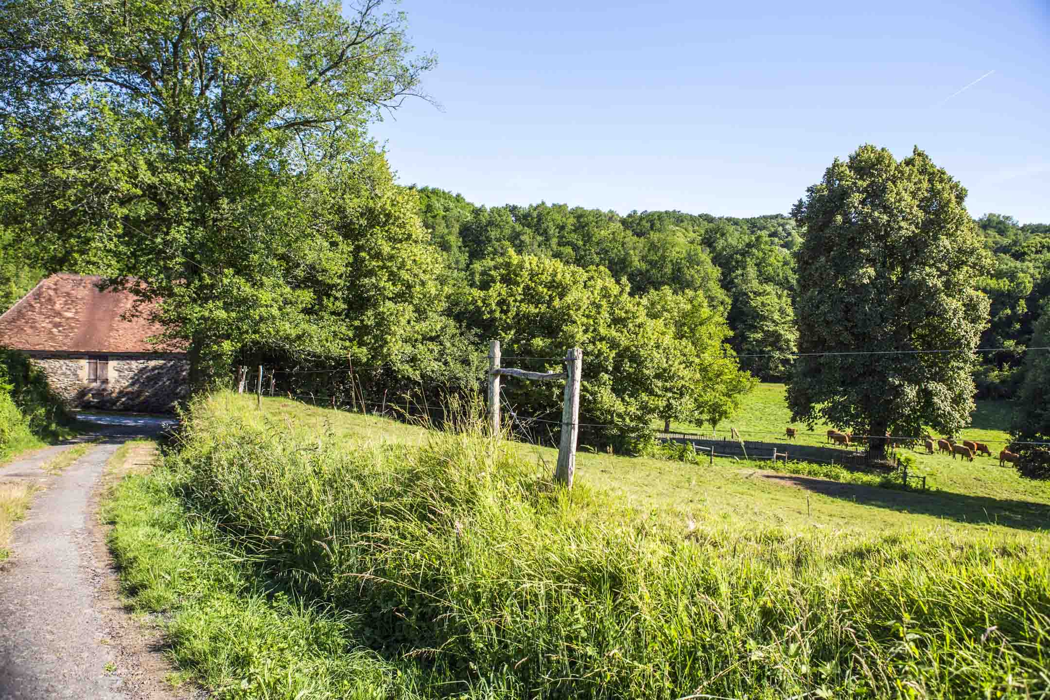 Natuurhuisje in Sarrazac