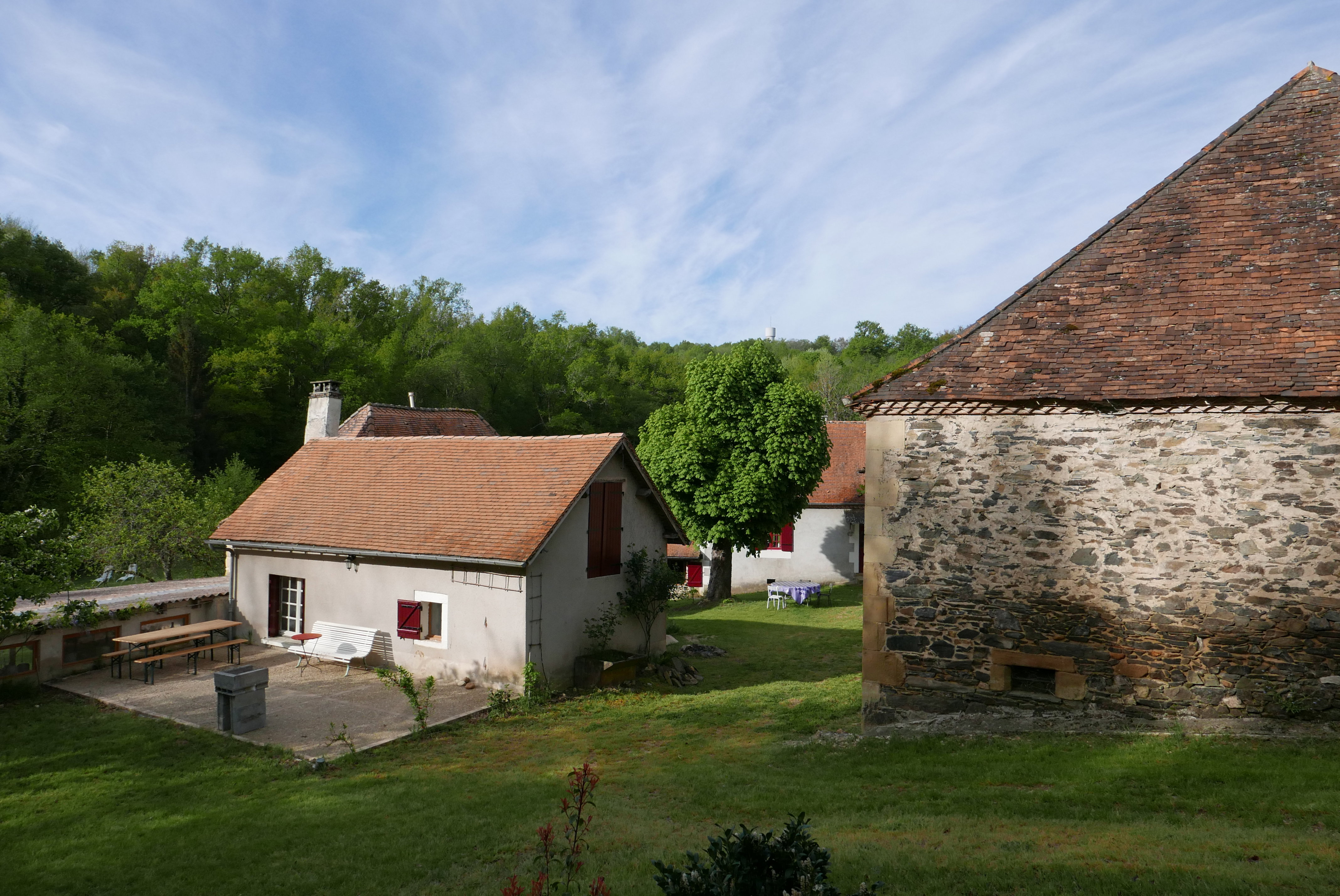 - image: 12